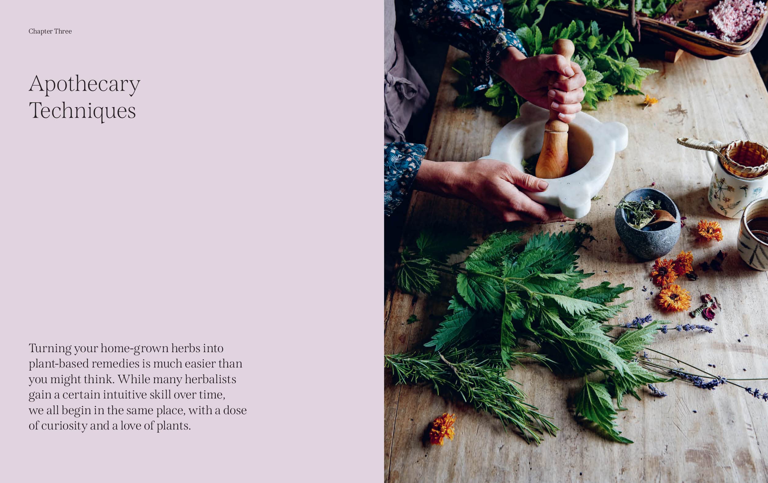 The Garden Apothecary - Image 3