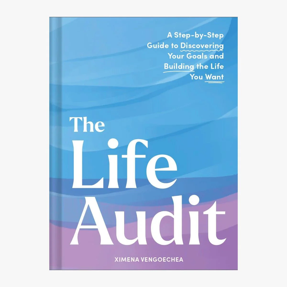 The Life Audit: A Step-by-Step Guide to Discovering Your Goals and building the Life You Want