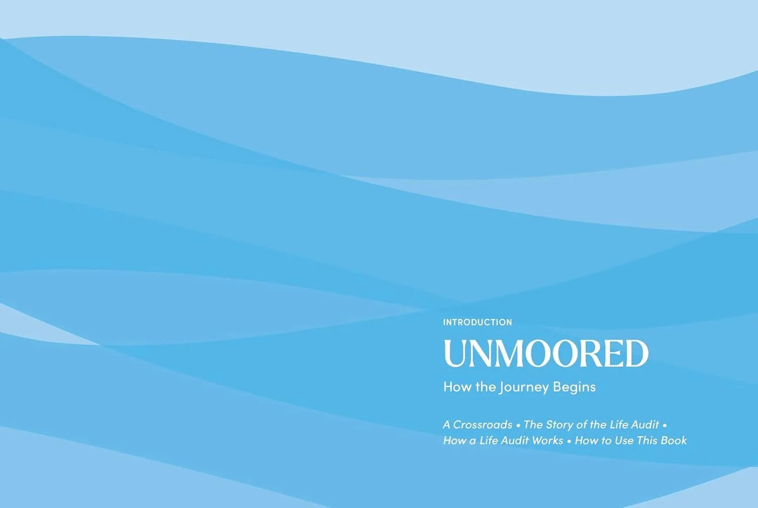 The Life Audit: A Step-by-Step Guide to Discovering Your Goals and building the Life You Want - Image 6