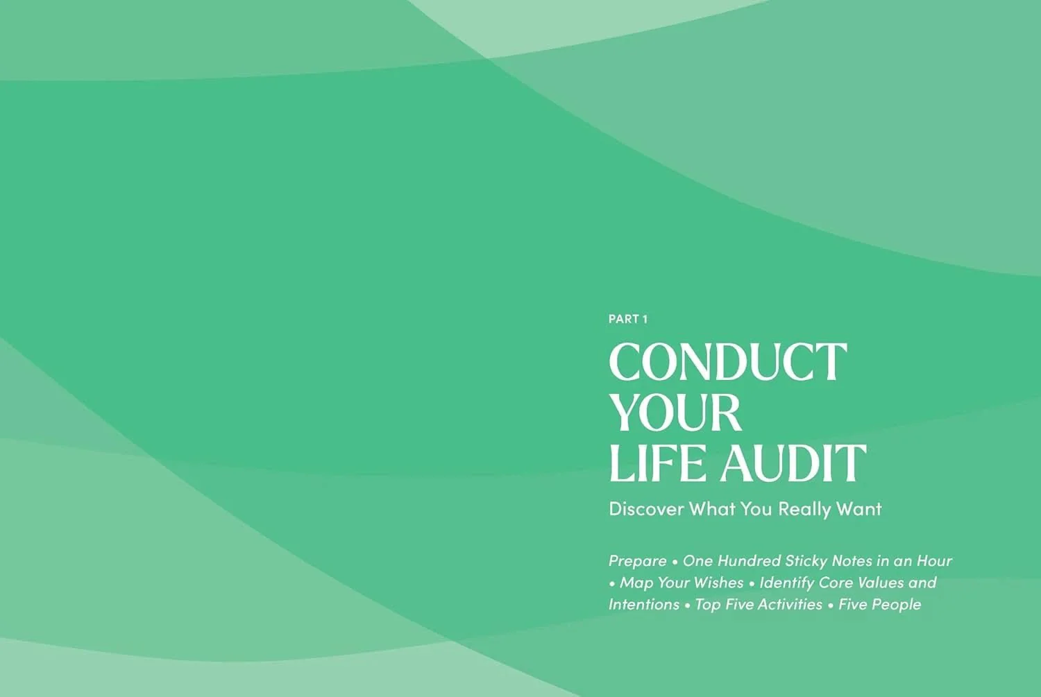 The Life Audit: A Step-by-Step Guide to Discovering Your Goals and building the Life You Want - Image 9