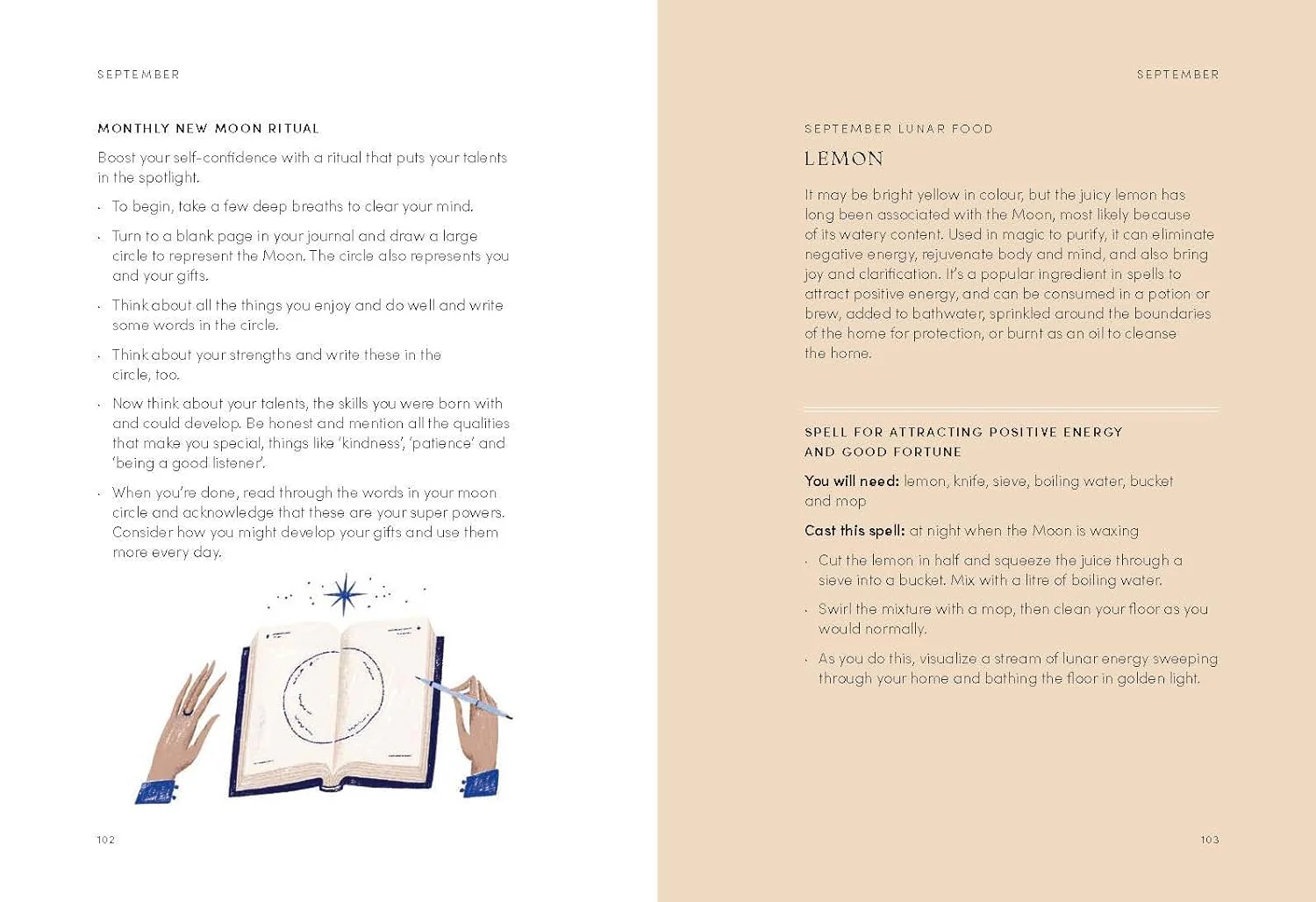 The Lunar Year - Image 10