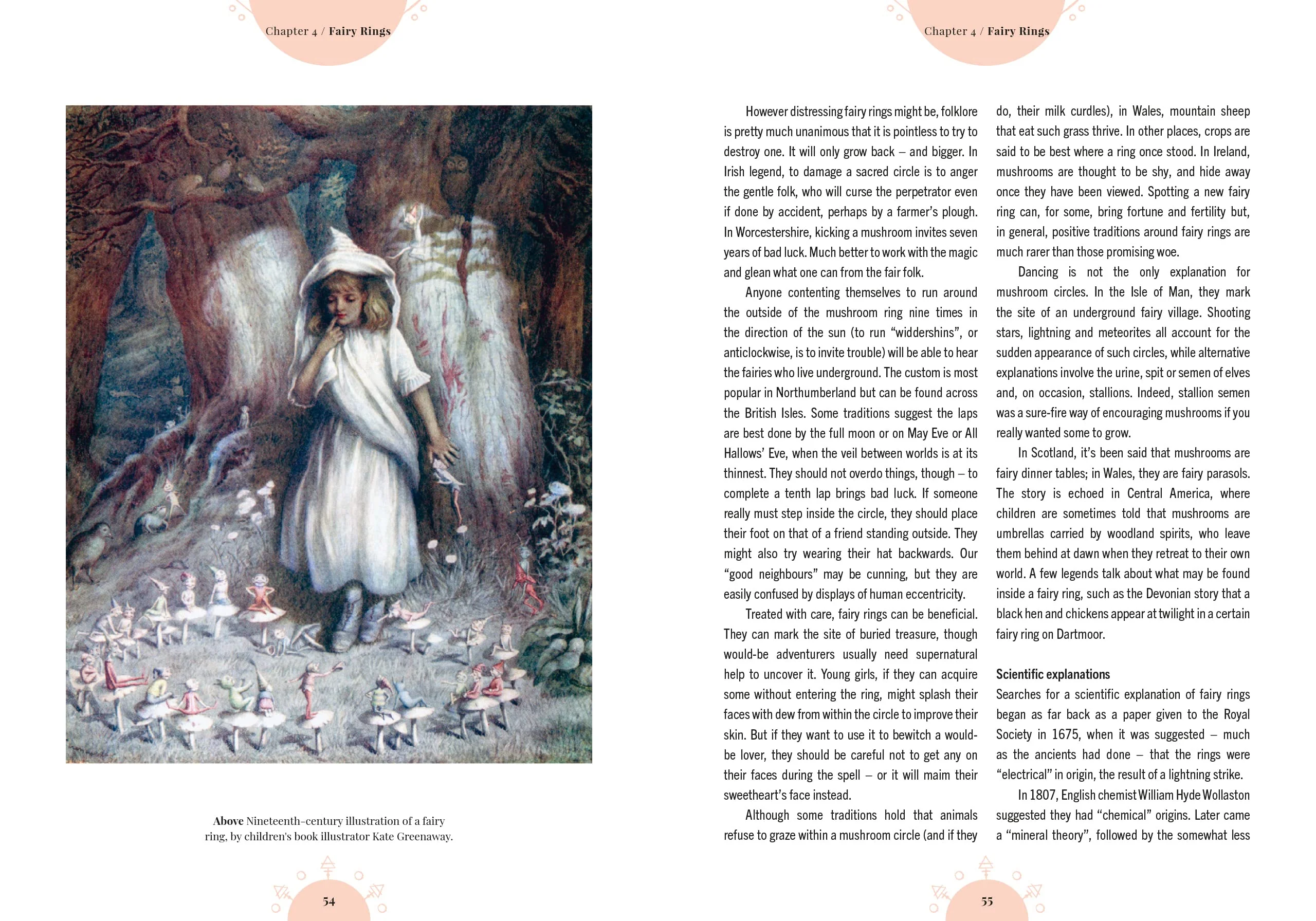 The Magic of Mushrooms - Image 4