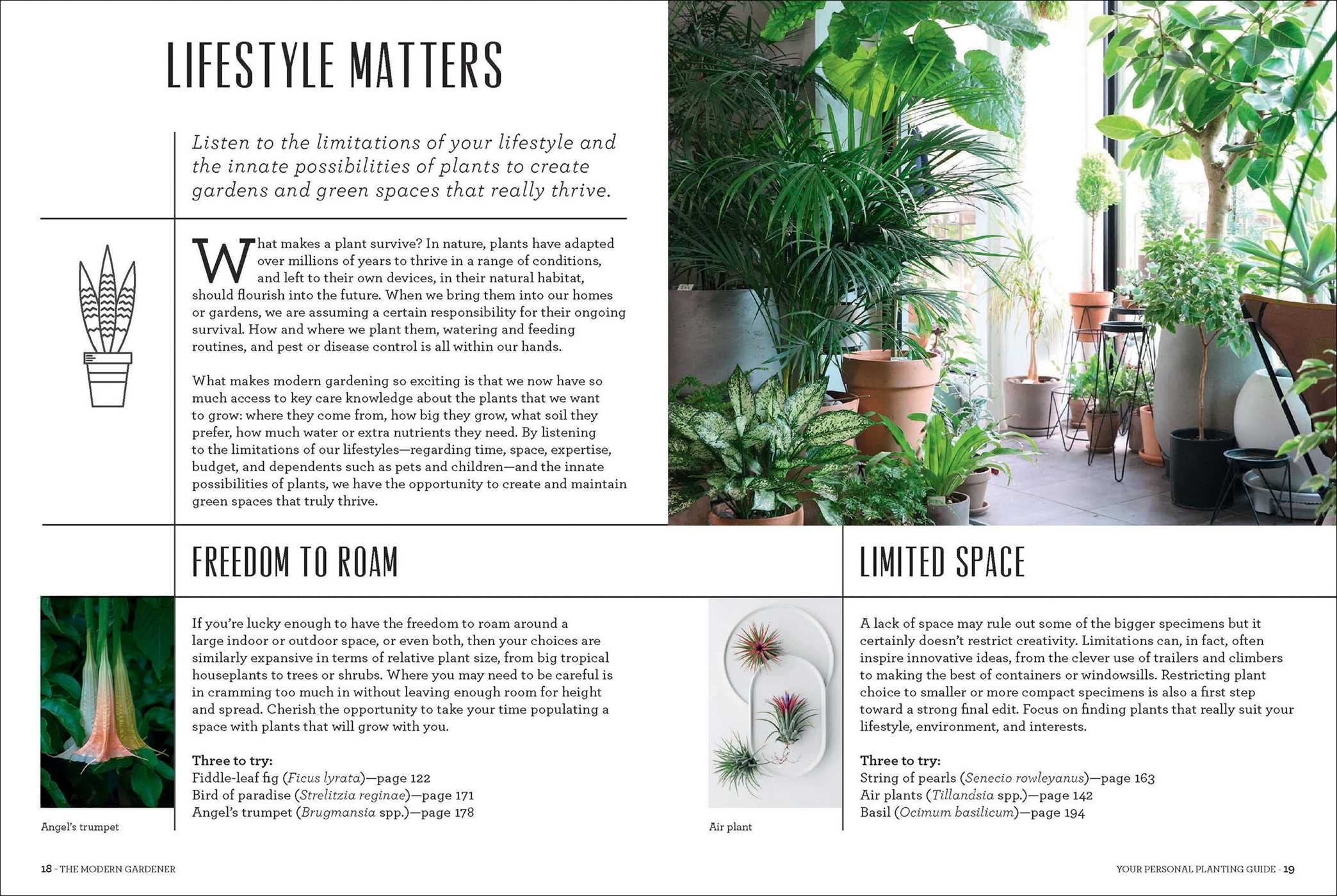 The Modern Gardener - Image 3