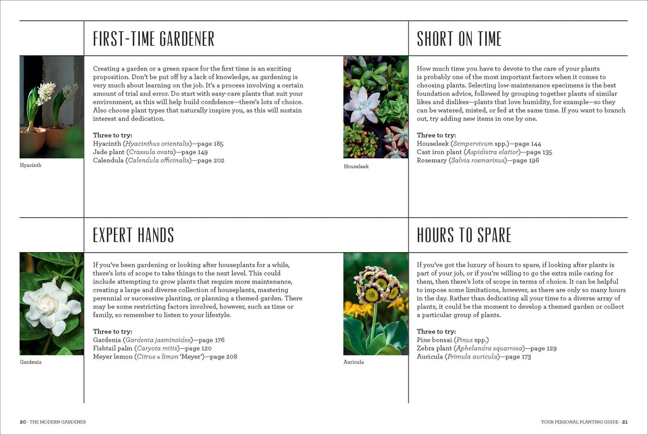 The Modern Gardener - Image 4