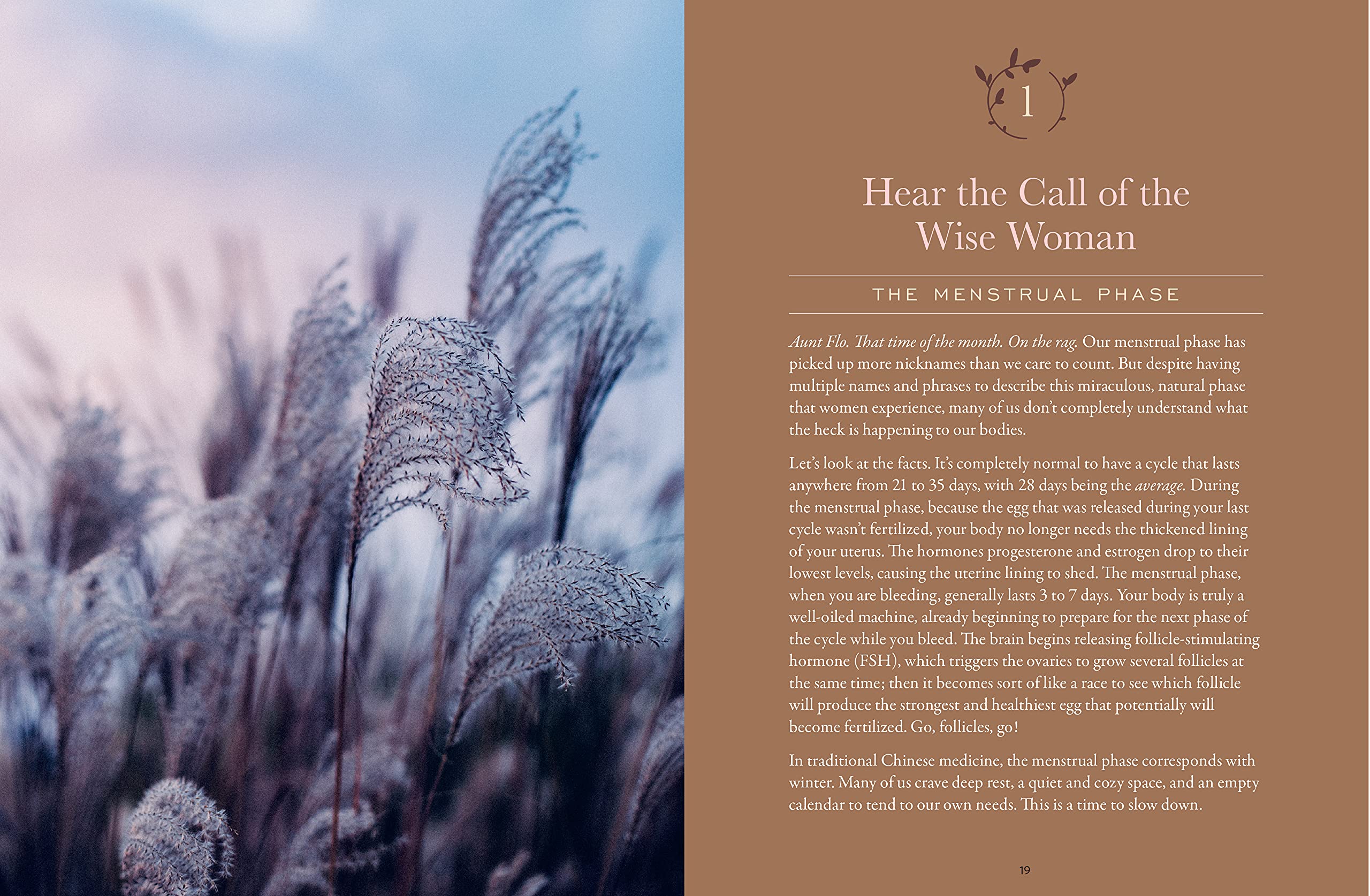 The Moon Cycle Cookbook - Image 3