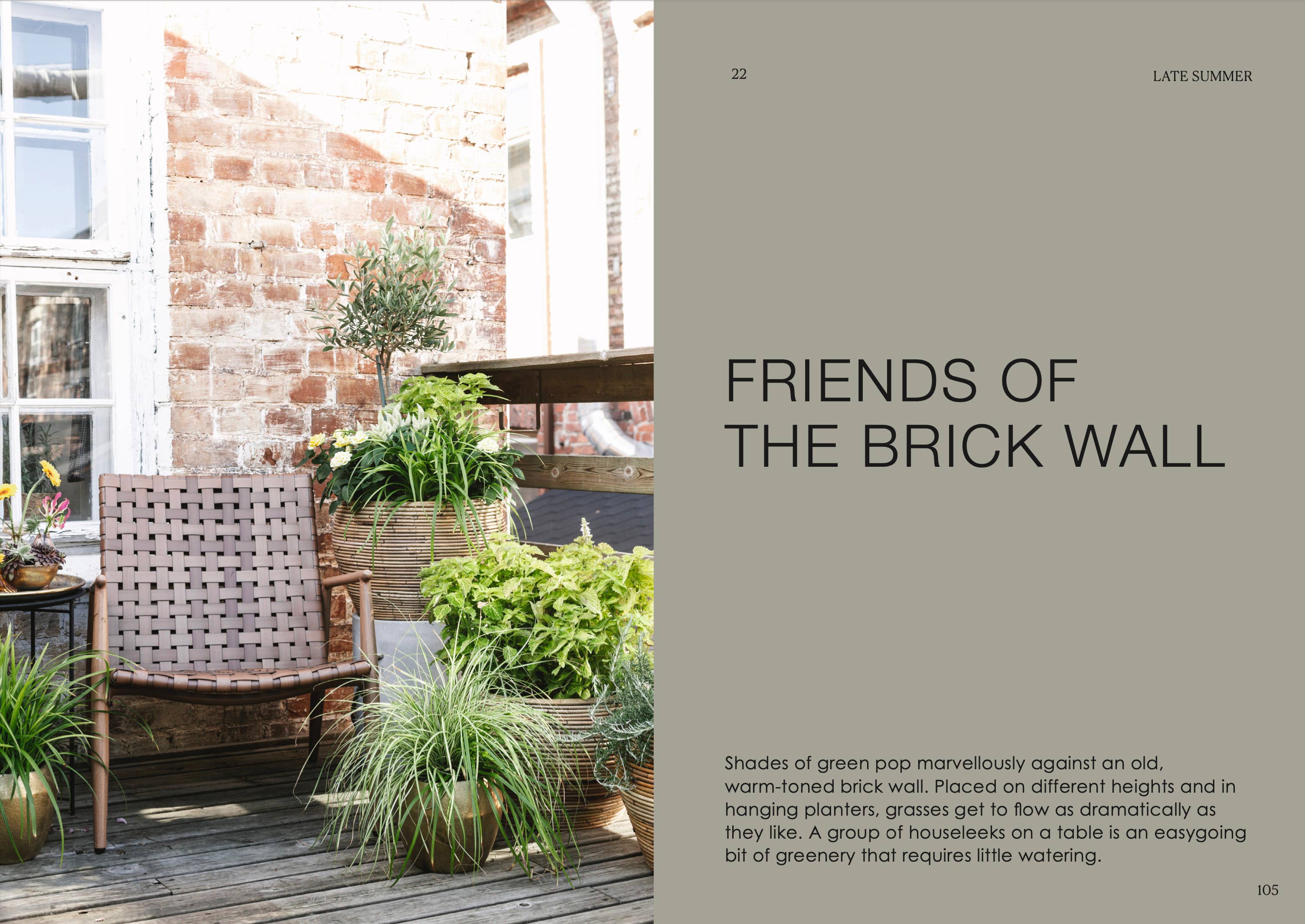 The Potted Garden - All Year Round - Image 10