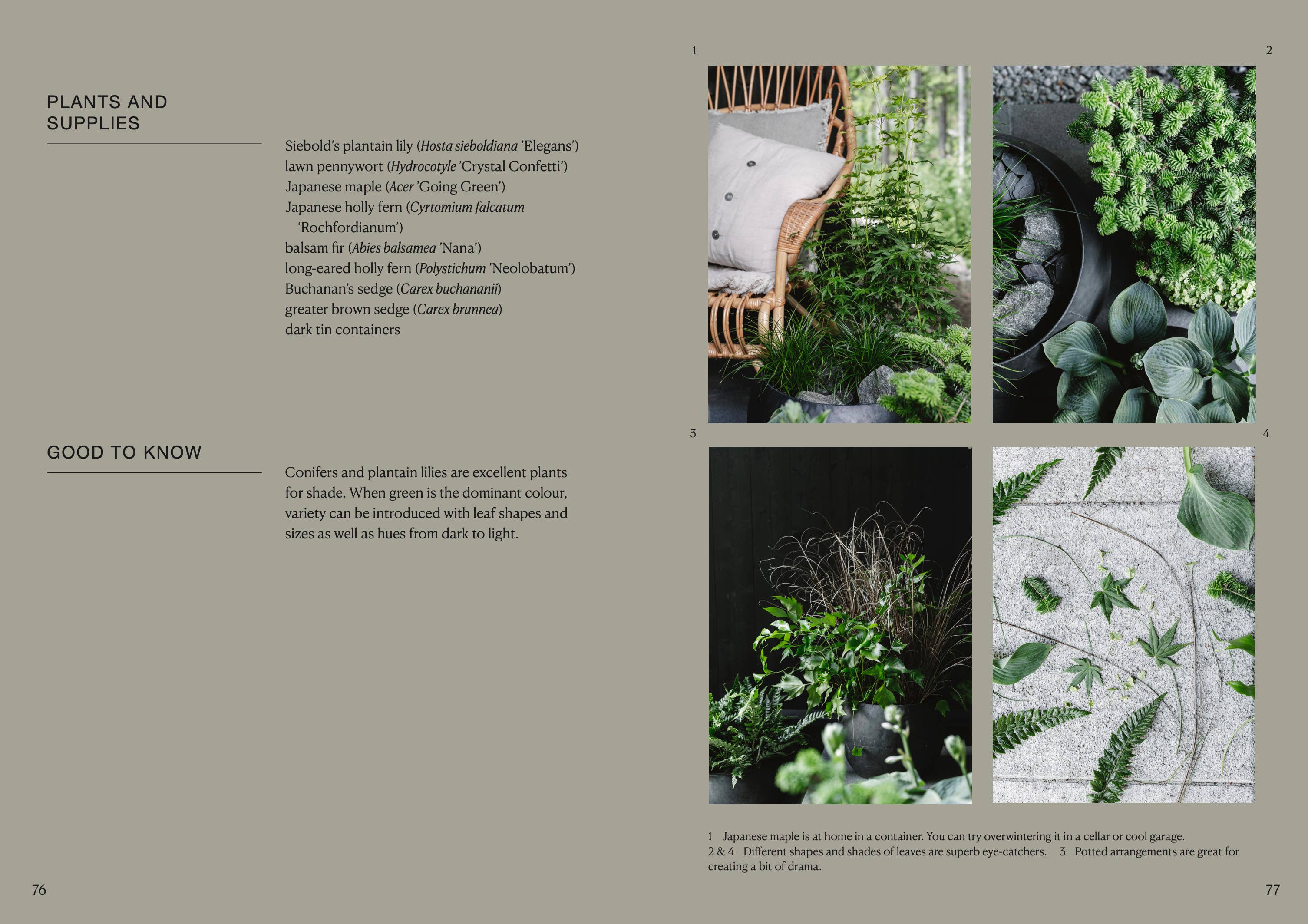 The Potted Garden - All Year Round - Image 11
