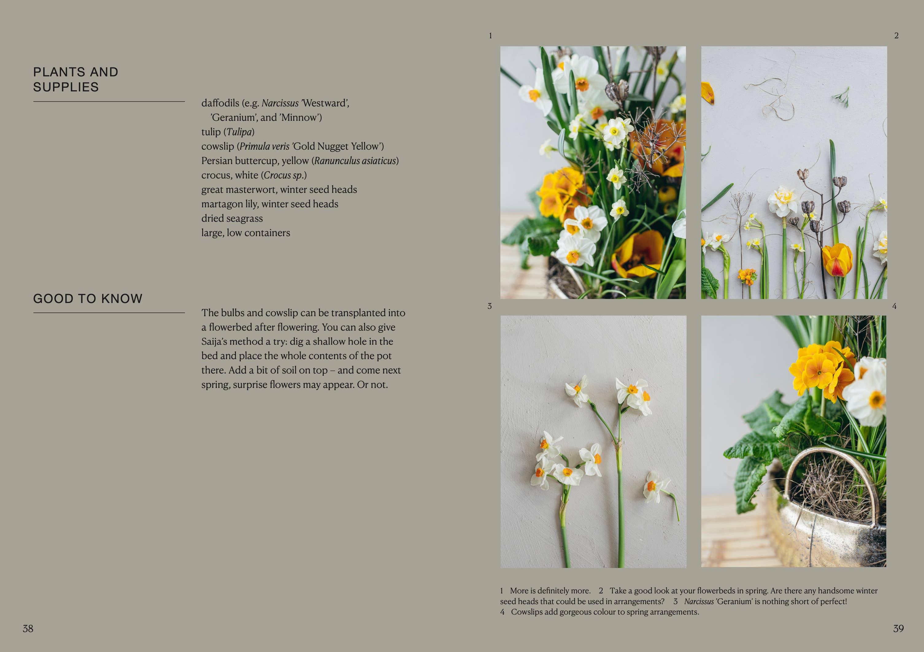 The Potted Garden - All Year Round - Image 3