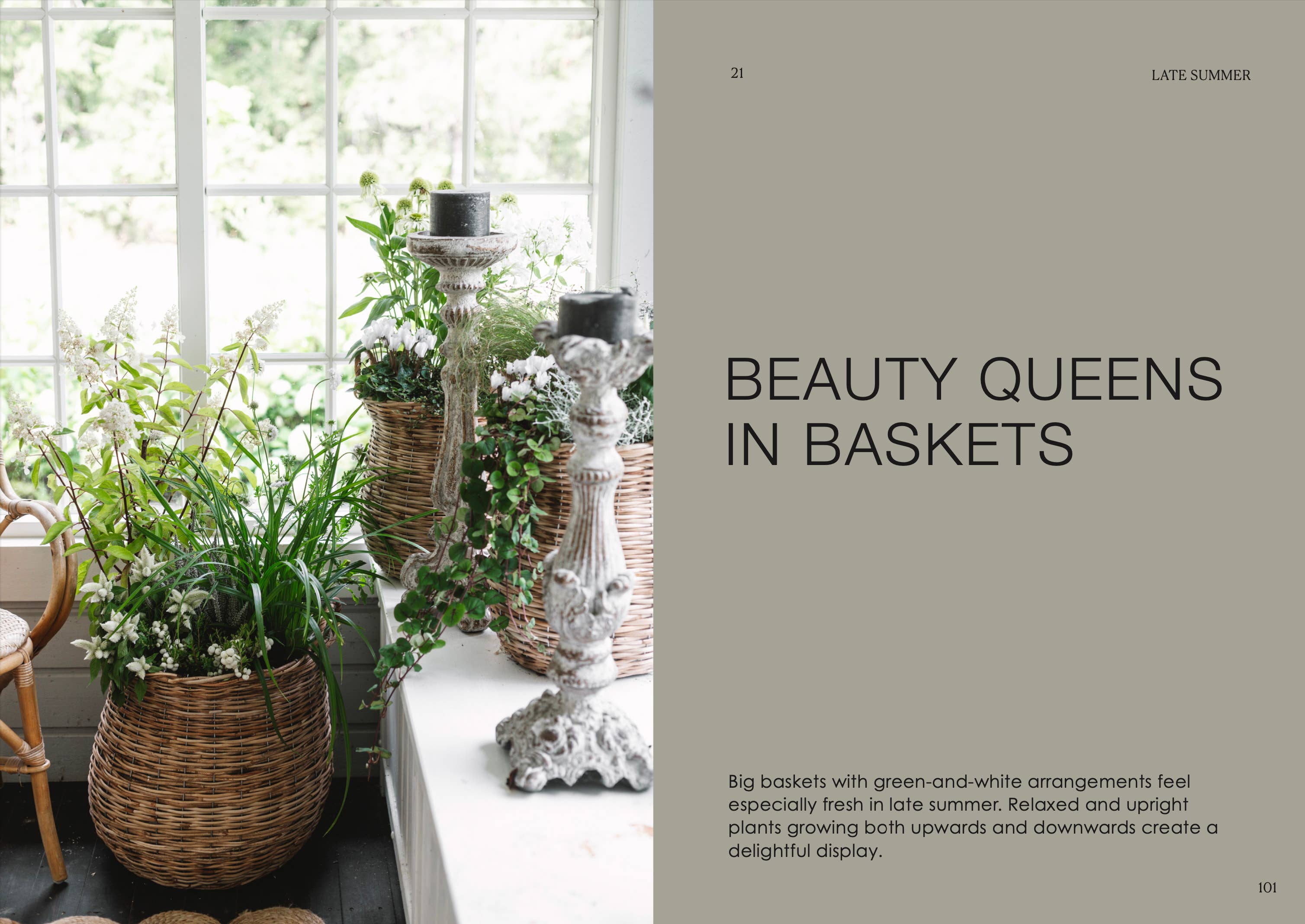 The Potted Garden - All Year Round - Image 4