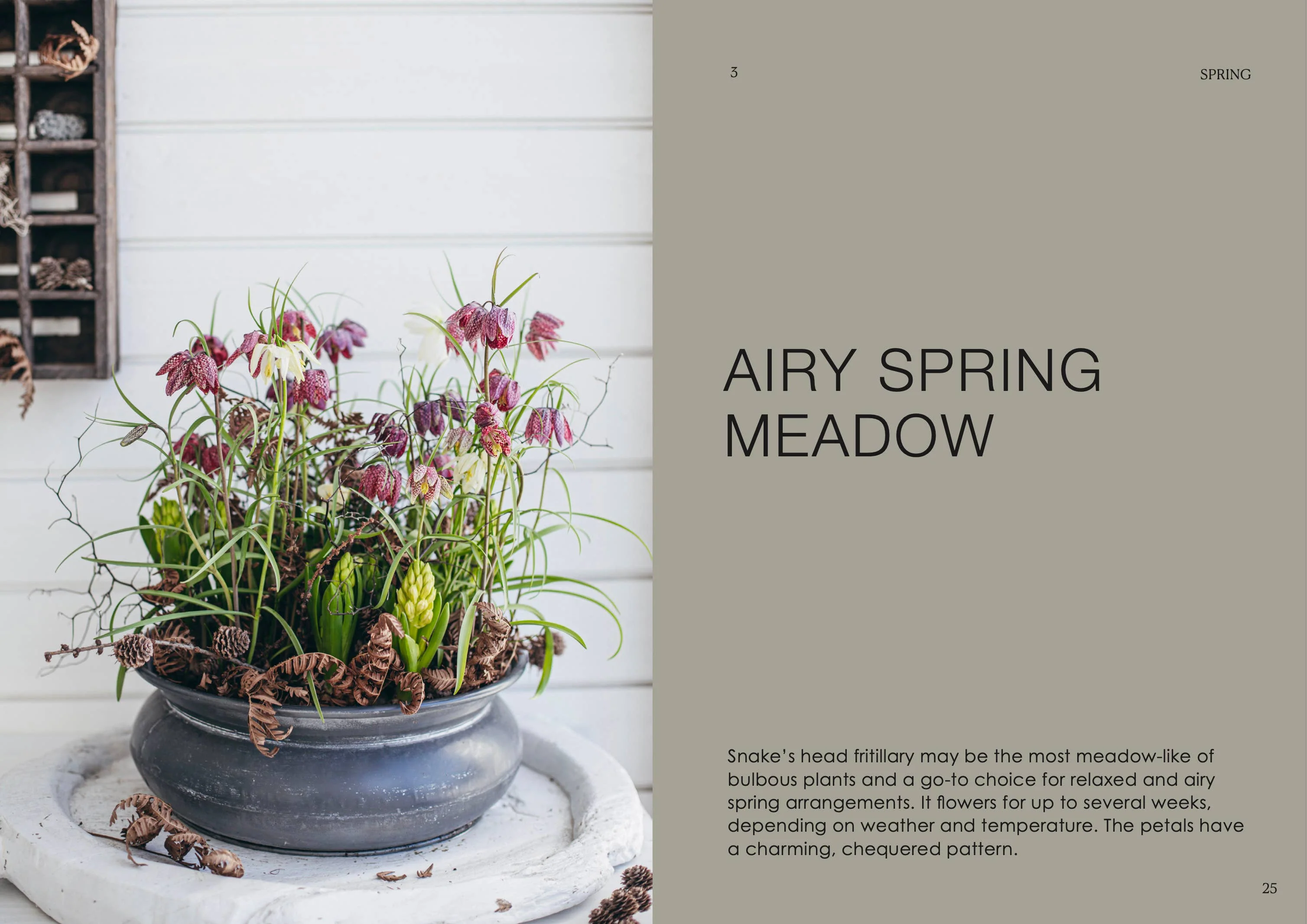 The Potted Garden - All Year Round - Image 5