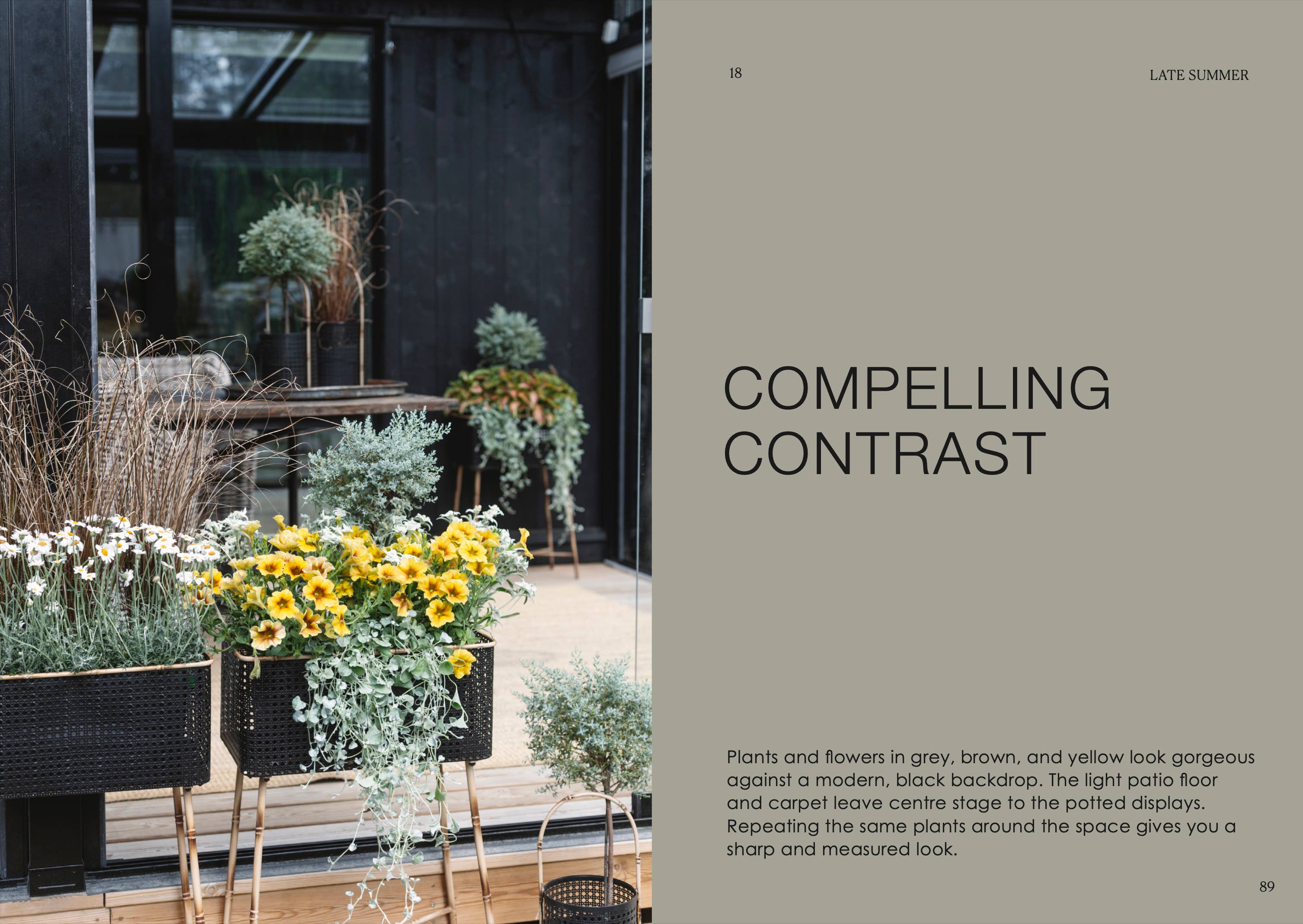 The Potted Garden - All Year Round - Image 8