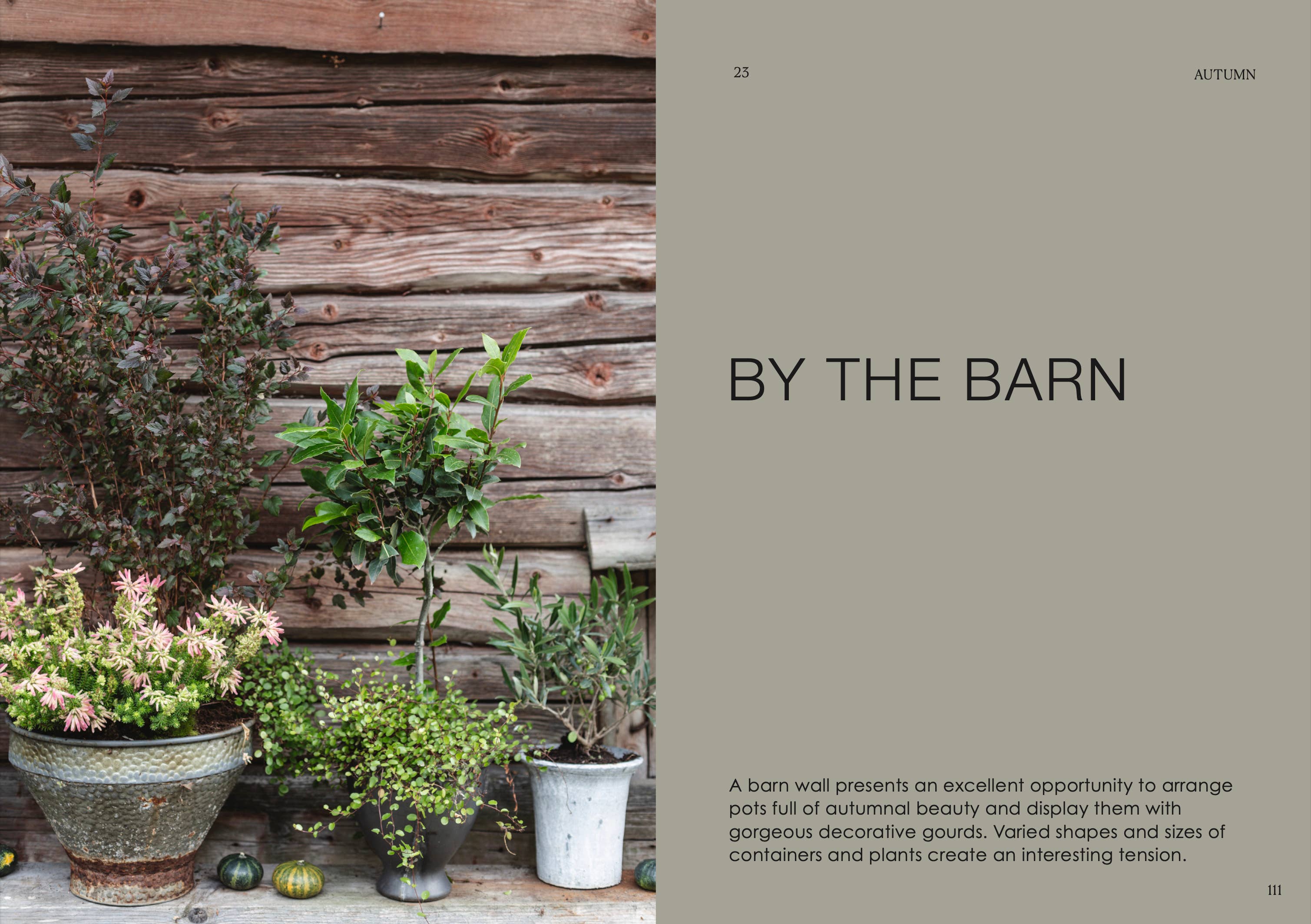 The Potted Garden - All Year Round - Image 9