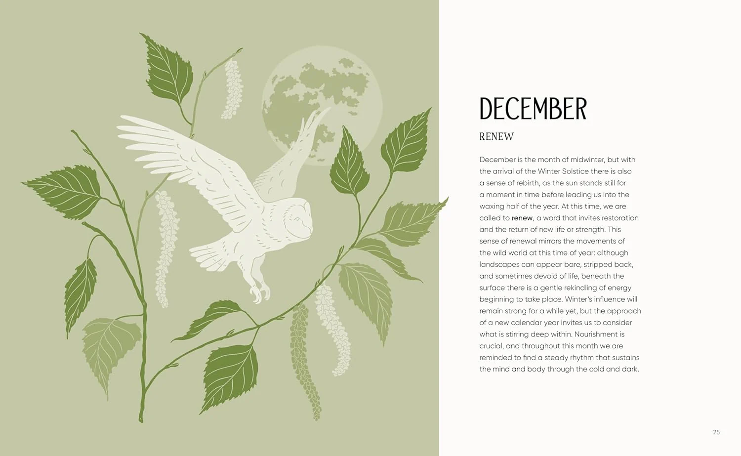 The Rewilding Yearbook - Image 10