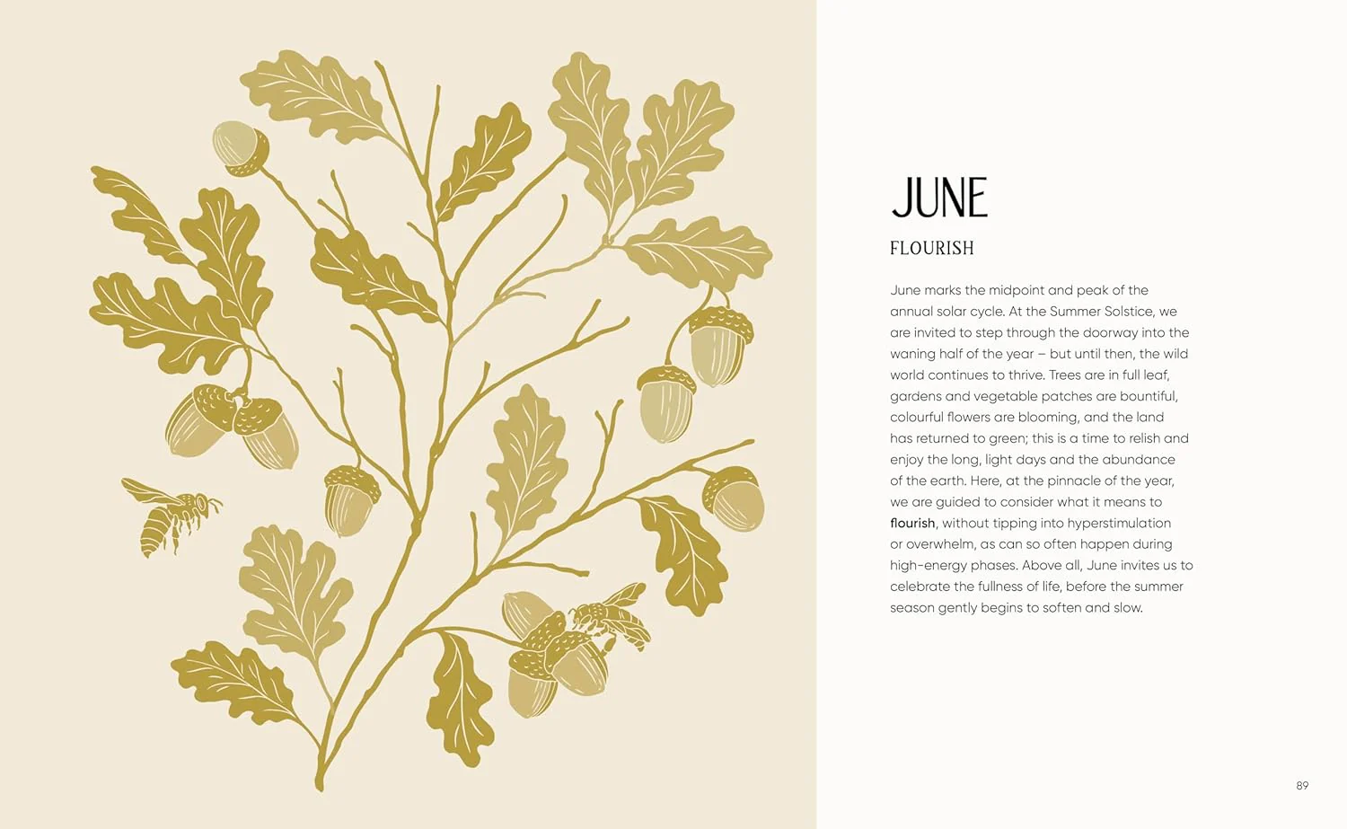 The Rewilding Yearbook - Image 12