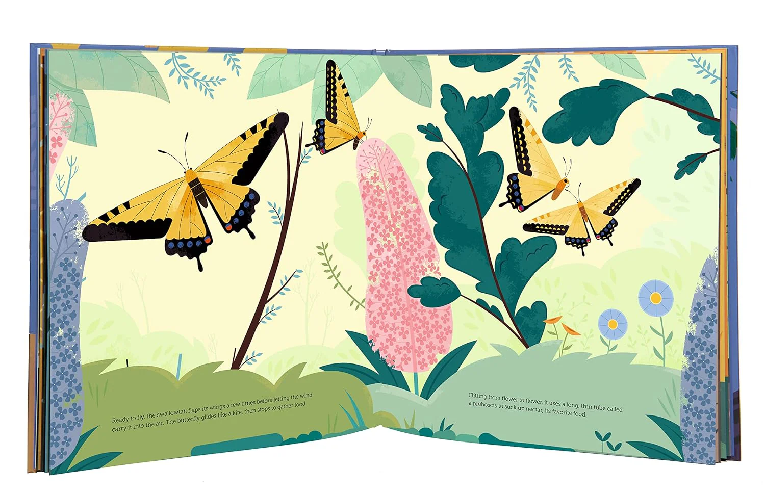 The Secret Life of Bugs - Image 2