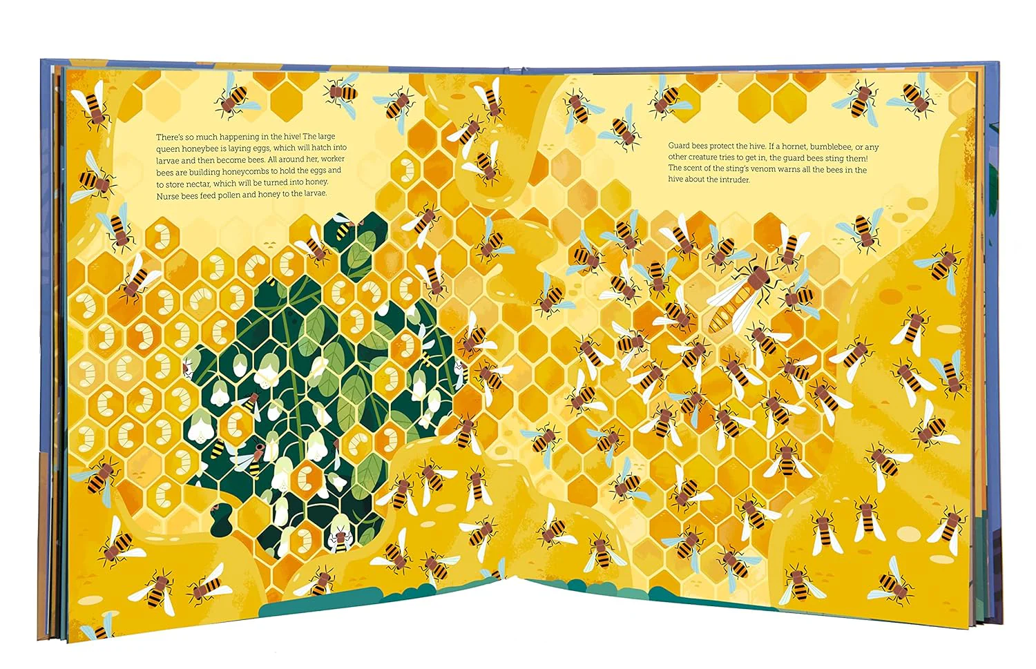 The Secret Life of Bugs - Image 3