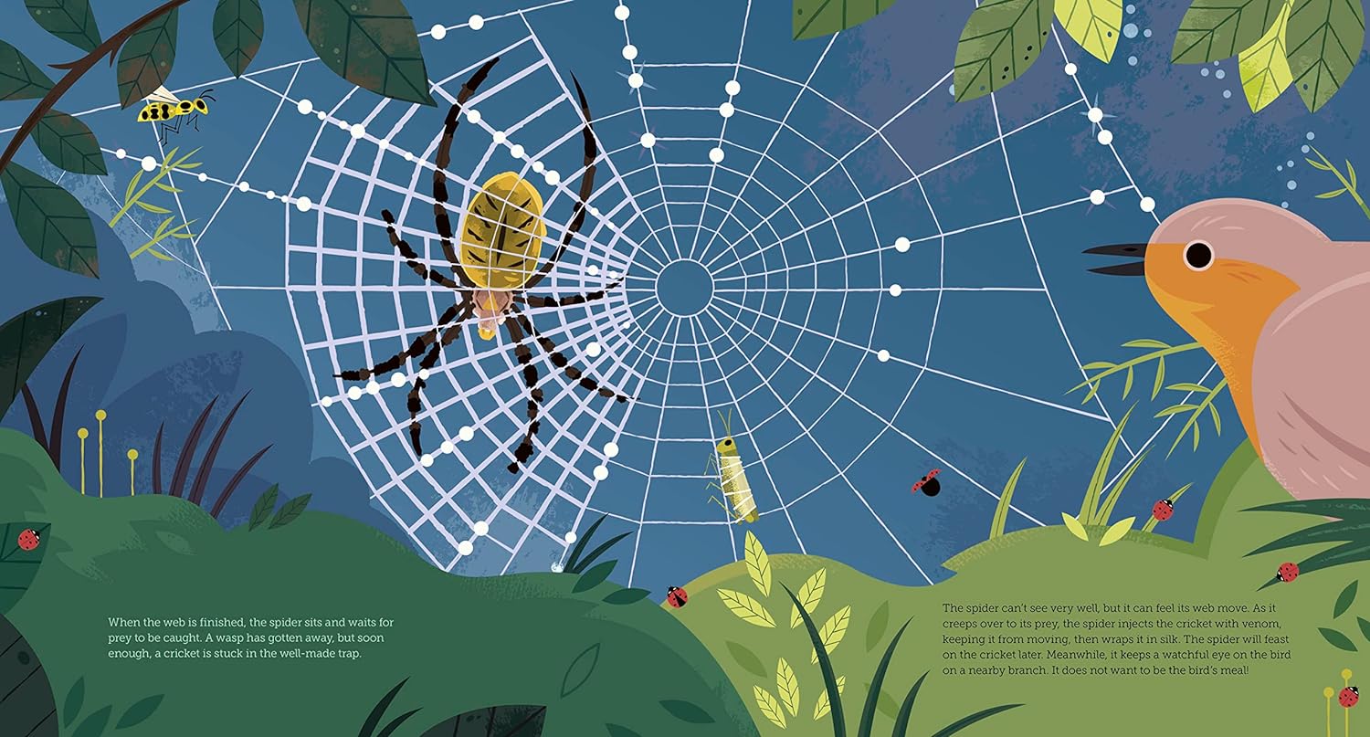 The Secret Life of Bugs - Image 4