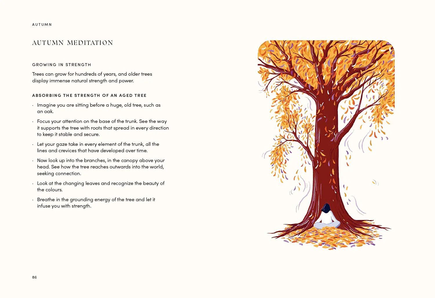 The Self-Care Year: Reflect and Recharge with Simple Seasonal Rituals - Image 12