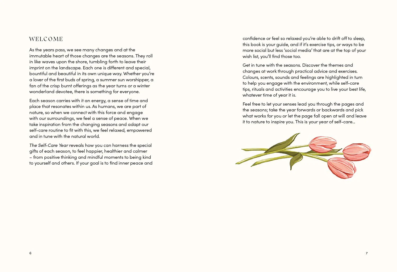The Self-Care Year: Reflect and Recharge with Simple Seasonal Rituals - Image 3