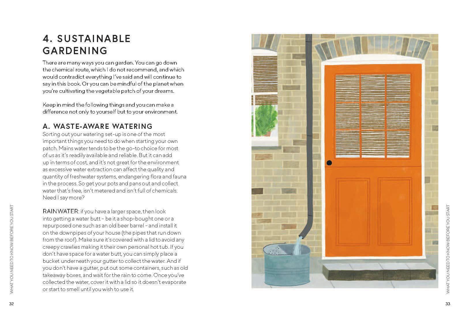 The Urban Vegetable Patch - Image 2