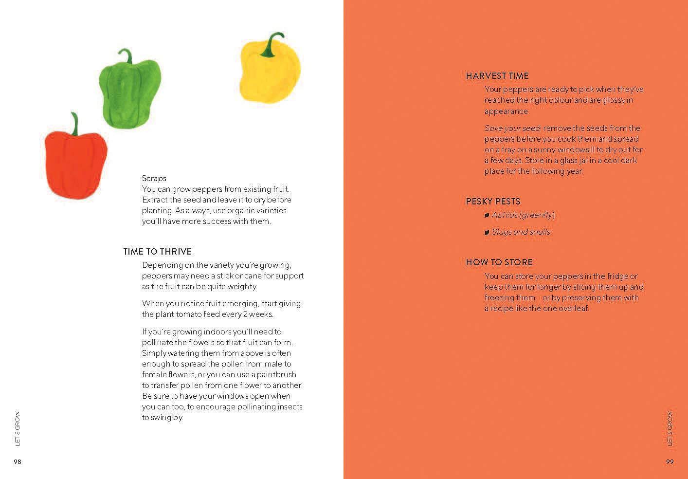 The Urban Vegetable Patch - Image 3