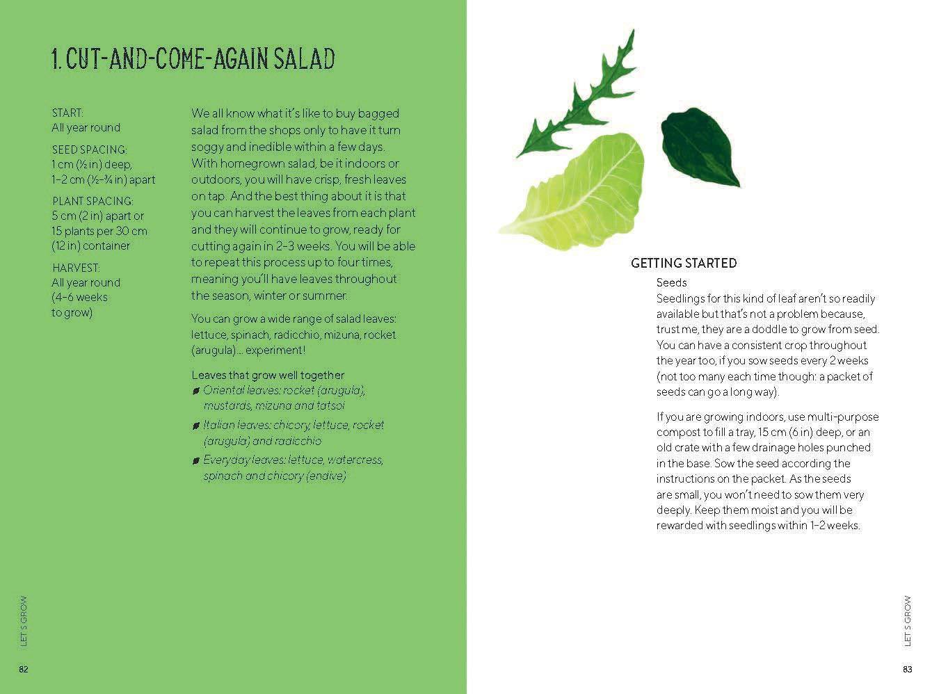 The Urban Vegetable Patch - Image 4