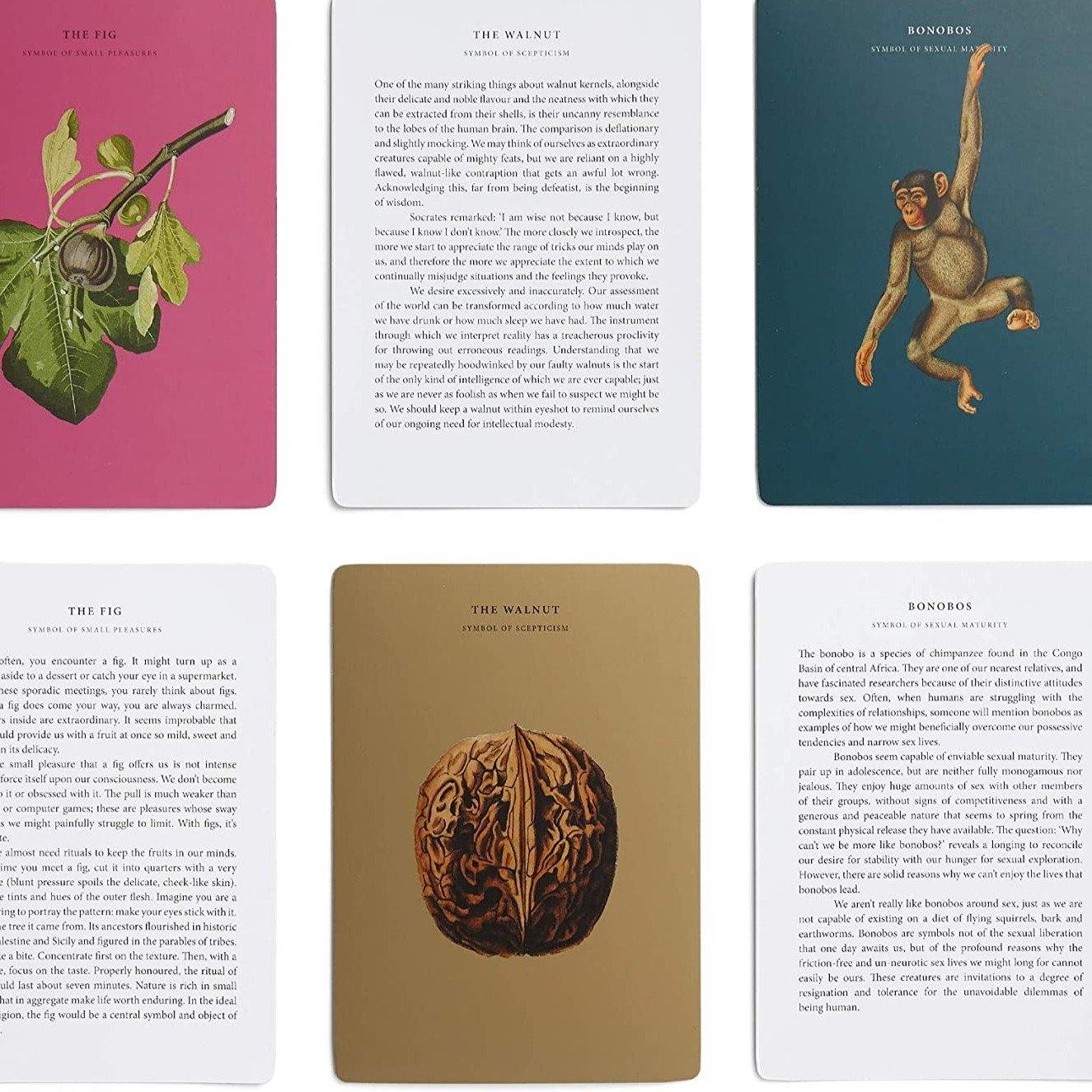 The Wonder of Nature Card Set - Image 2