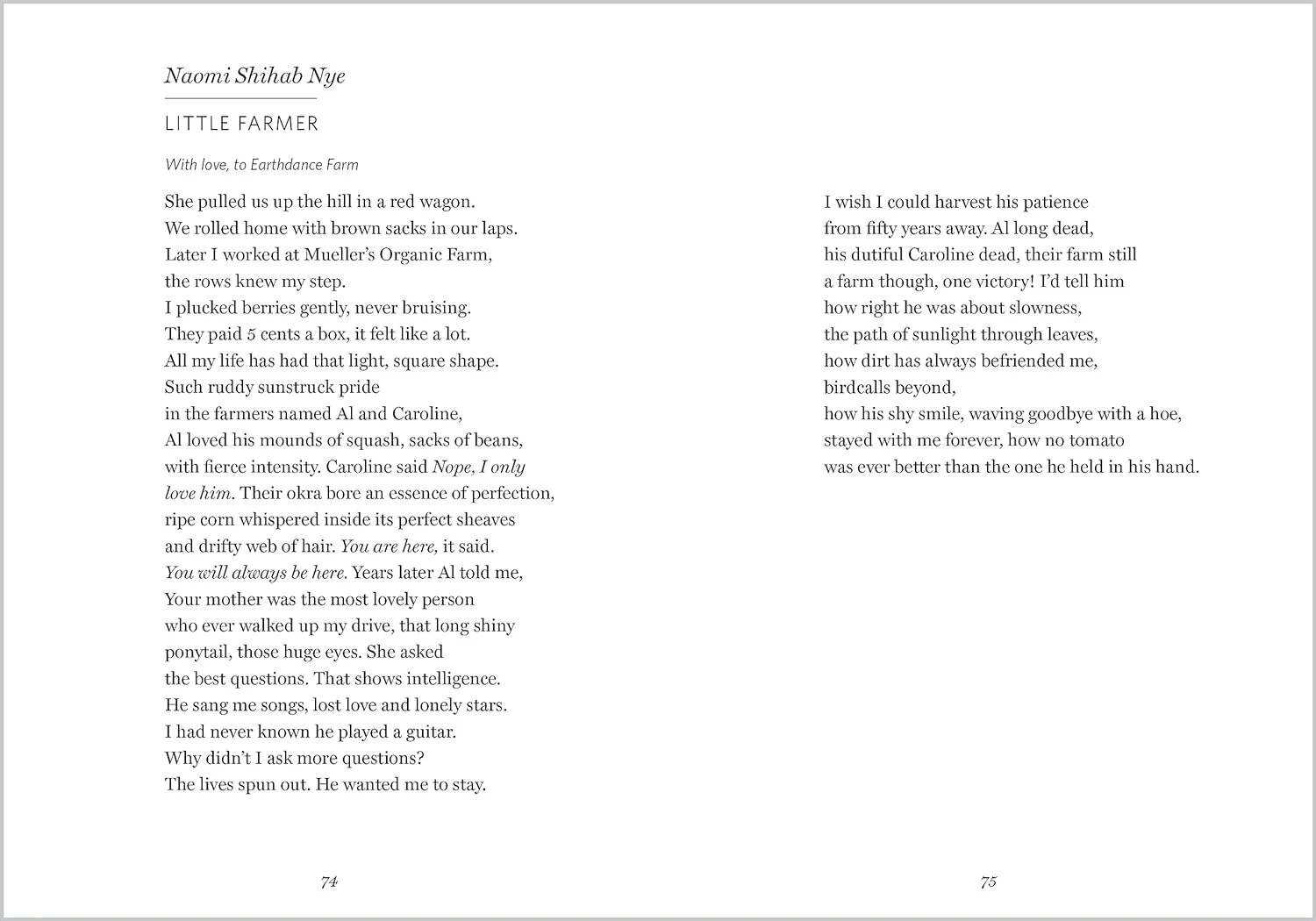The Wonder of Small Things: Poems of Peace and Renewal - Image 5