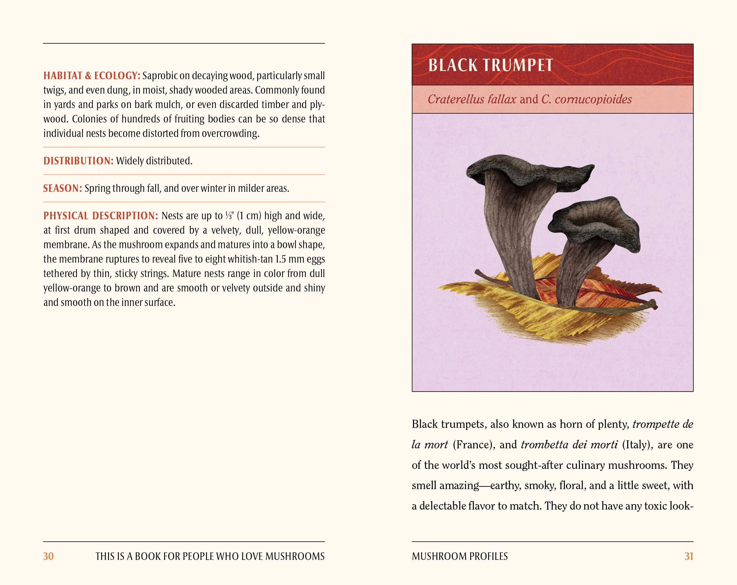 This Book is for People Who Love Mushrooms - Image 2
