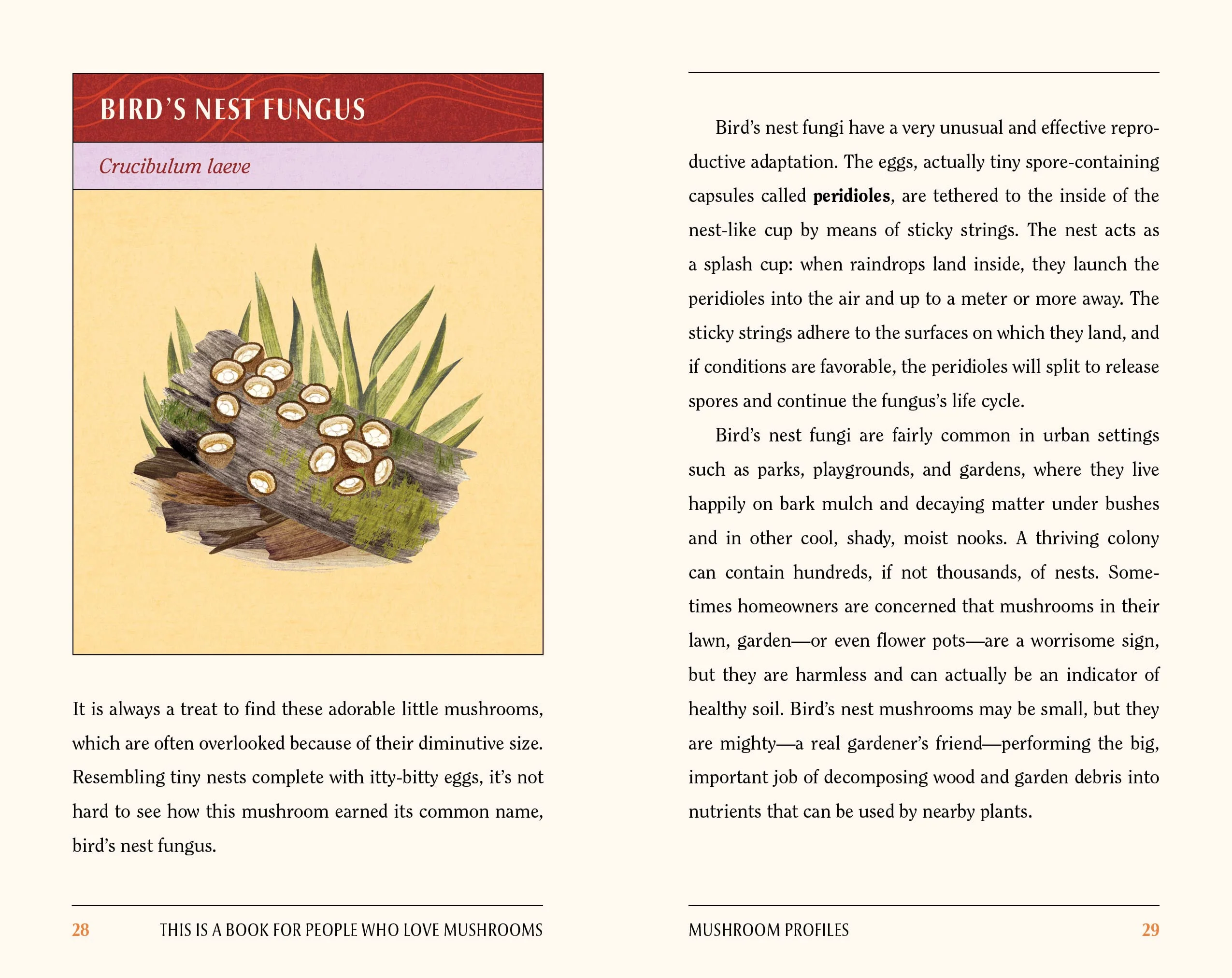 This Book is for People Who Love Mushrooms - Image 3