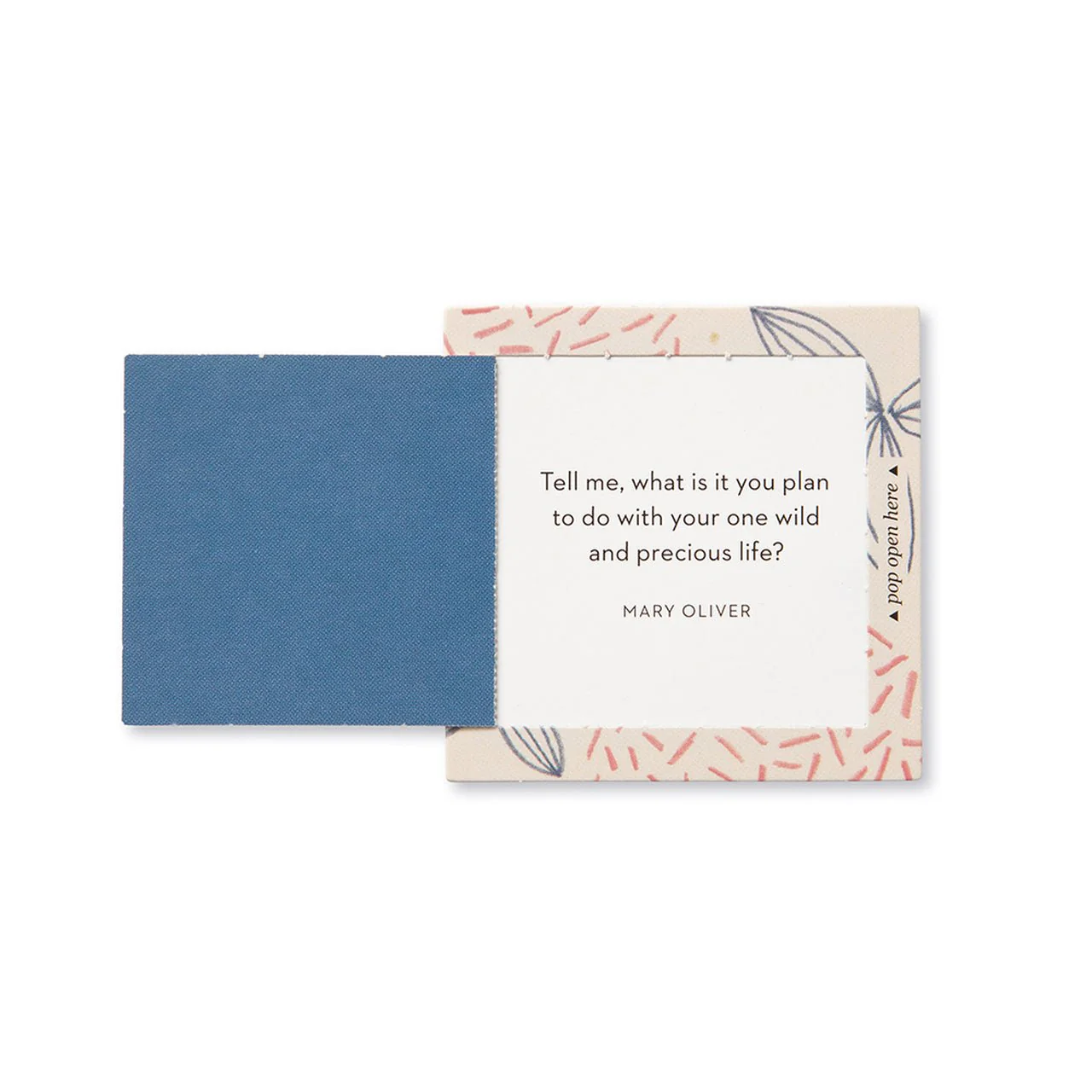 Thoughtfulls: Inspire Her - Image 3