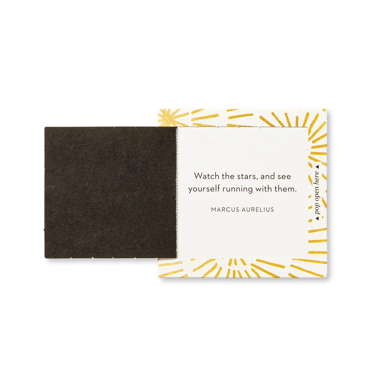 Thoughtfulls: Shine - Image 3