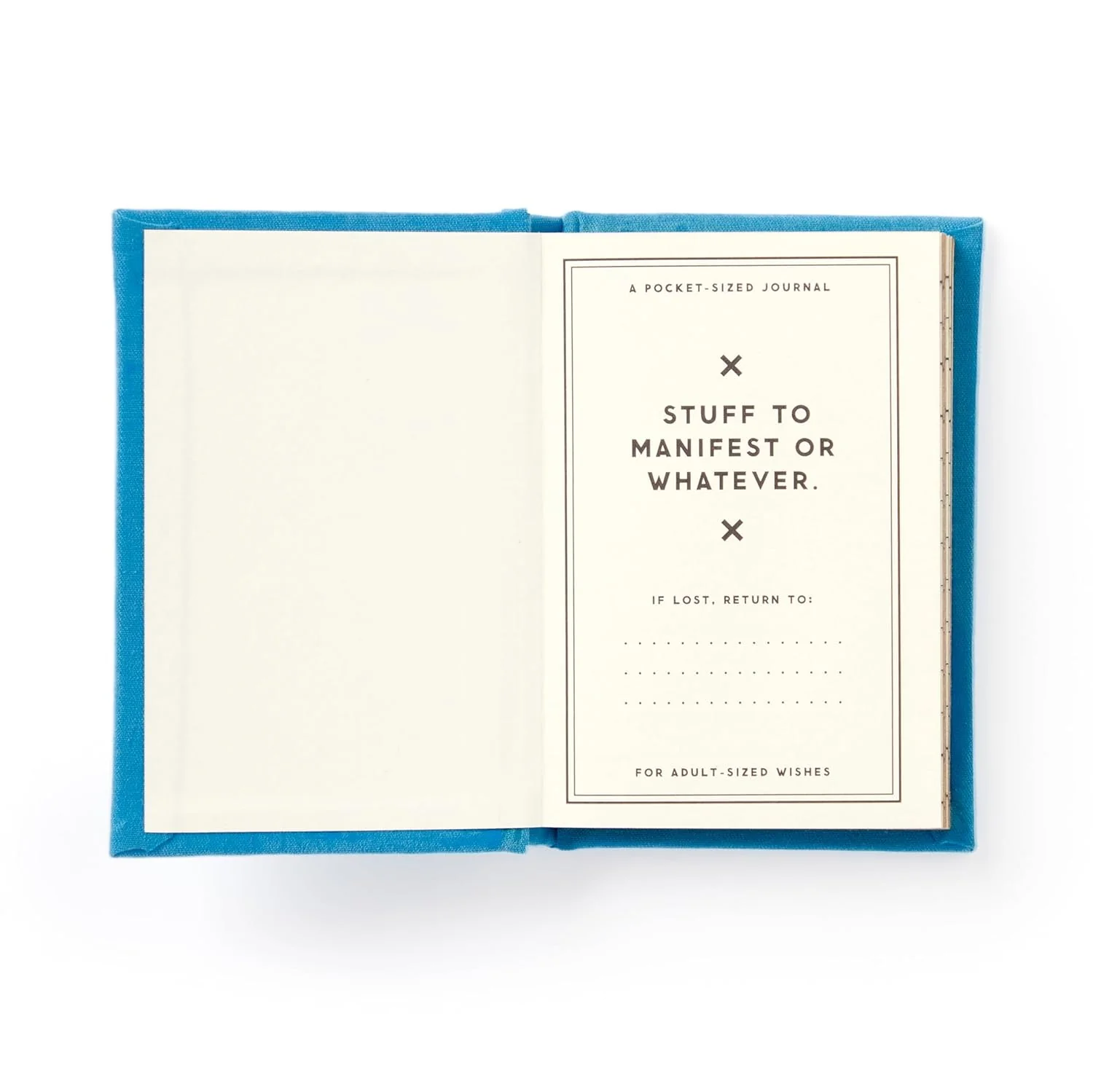 Tiny Hopes and Dreams Diary - Image 2