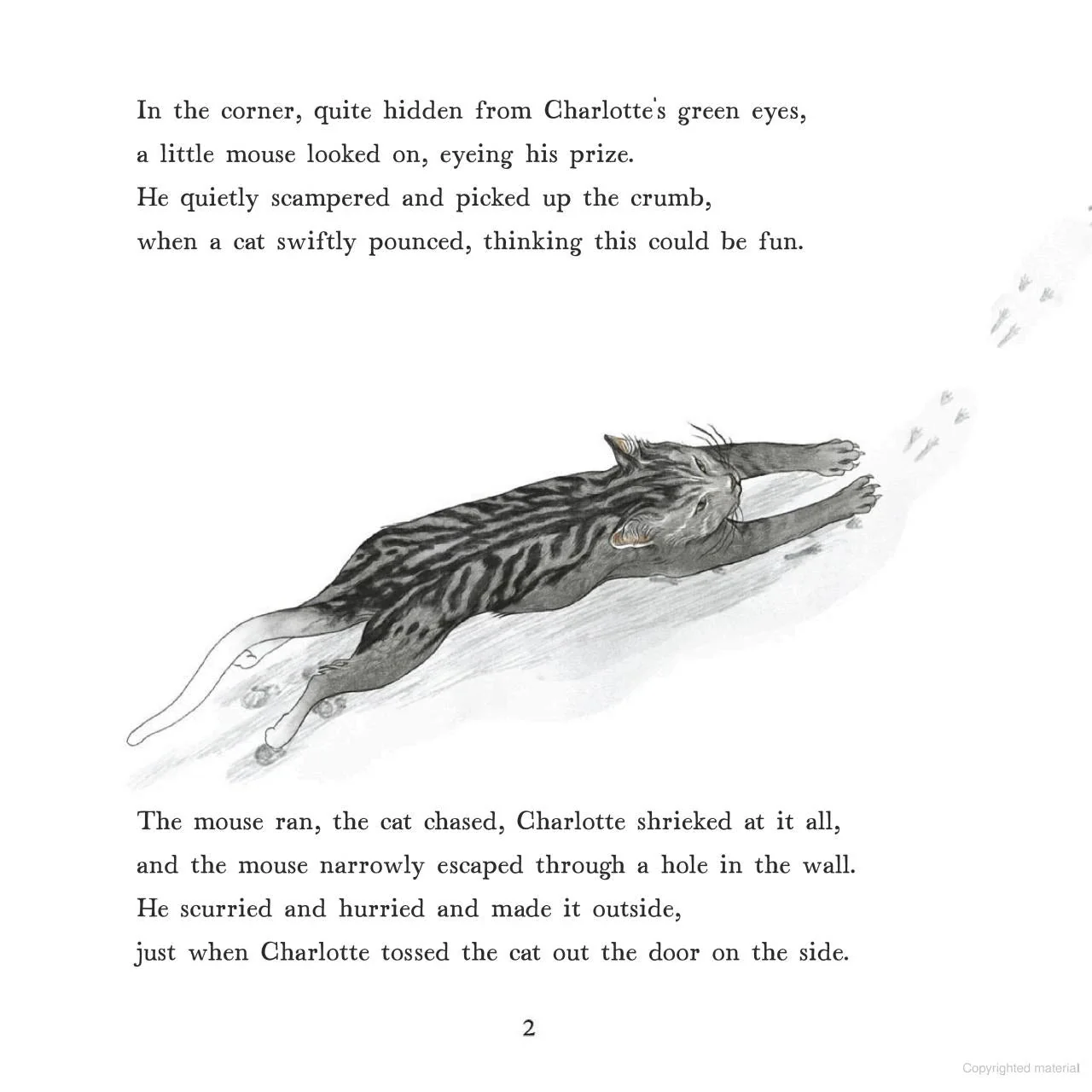 To Be A Christmas Tree - Image 3