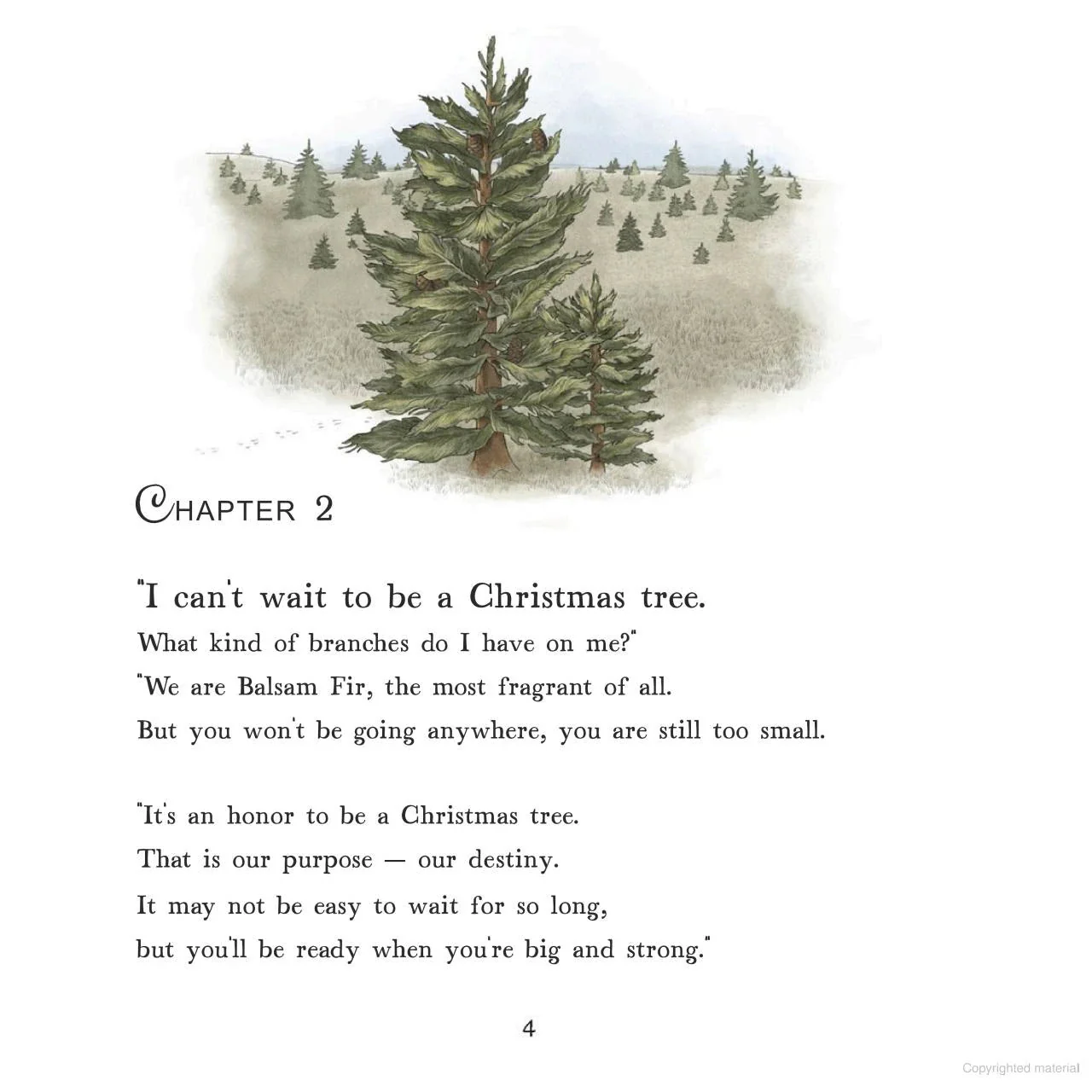 To Be A Christmas Tree - Image 5