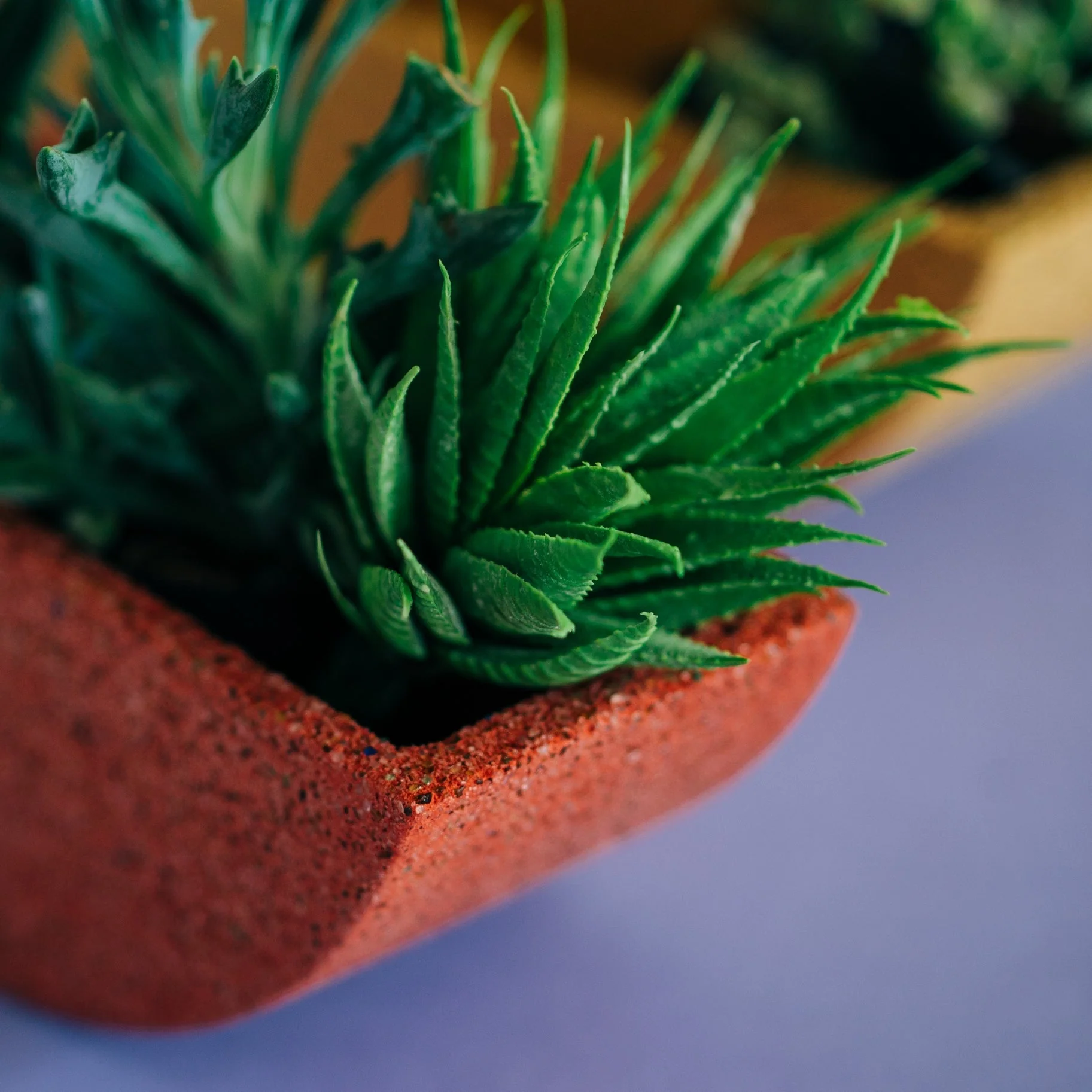 Totter Planter - Image 6