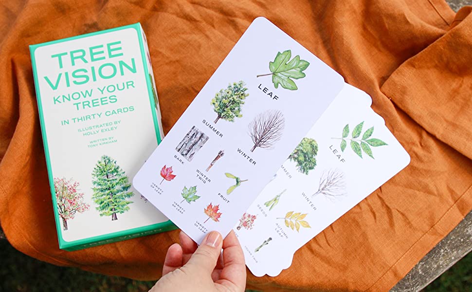 Tree Vision: Know Your Trees in Thirty Cards - Image 2