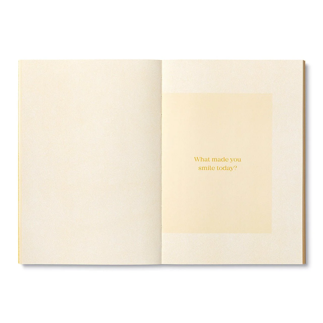 True Gratitude Activity Book - Image 3