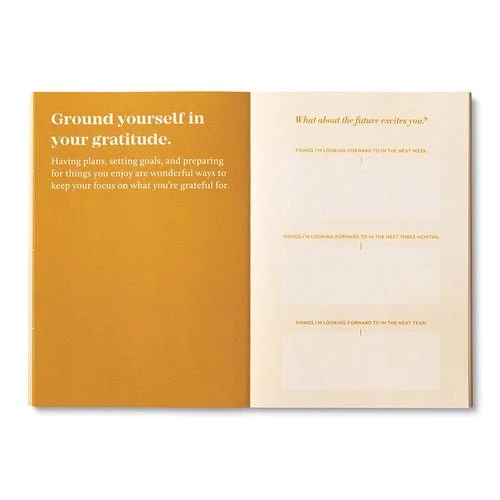 True Gratitude Activity Book - Image 4