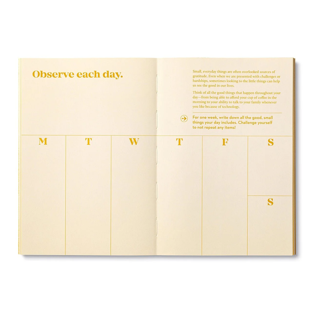 True Gratitude Activity Book - Image 5