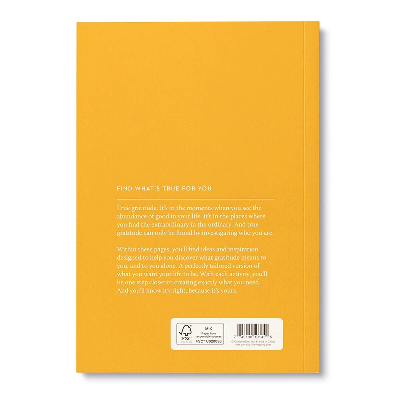 True Gratitude Activity Book - Image 6