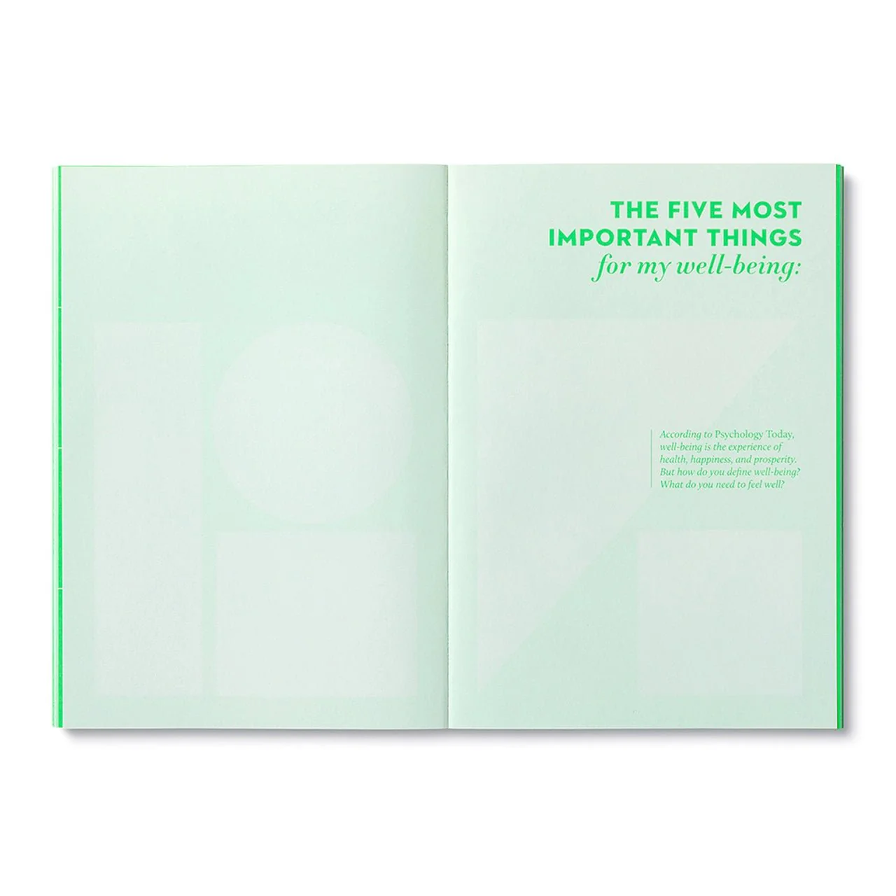 True Joy Activity Book - Image 2