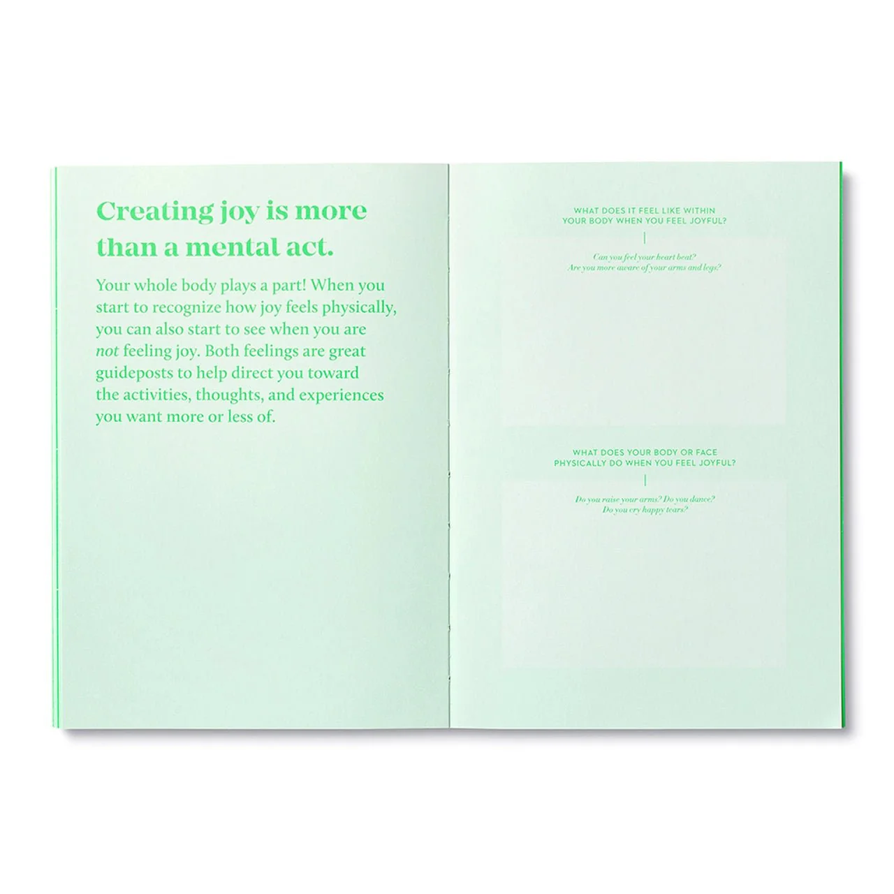 True Joy Activity Book - Image 4