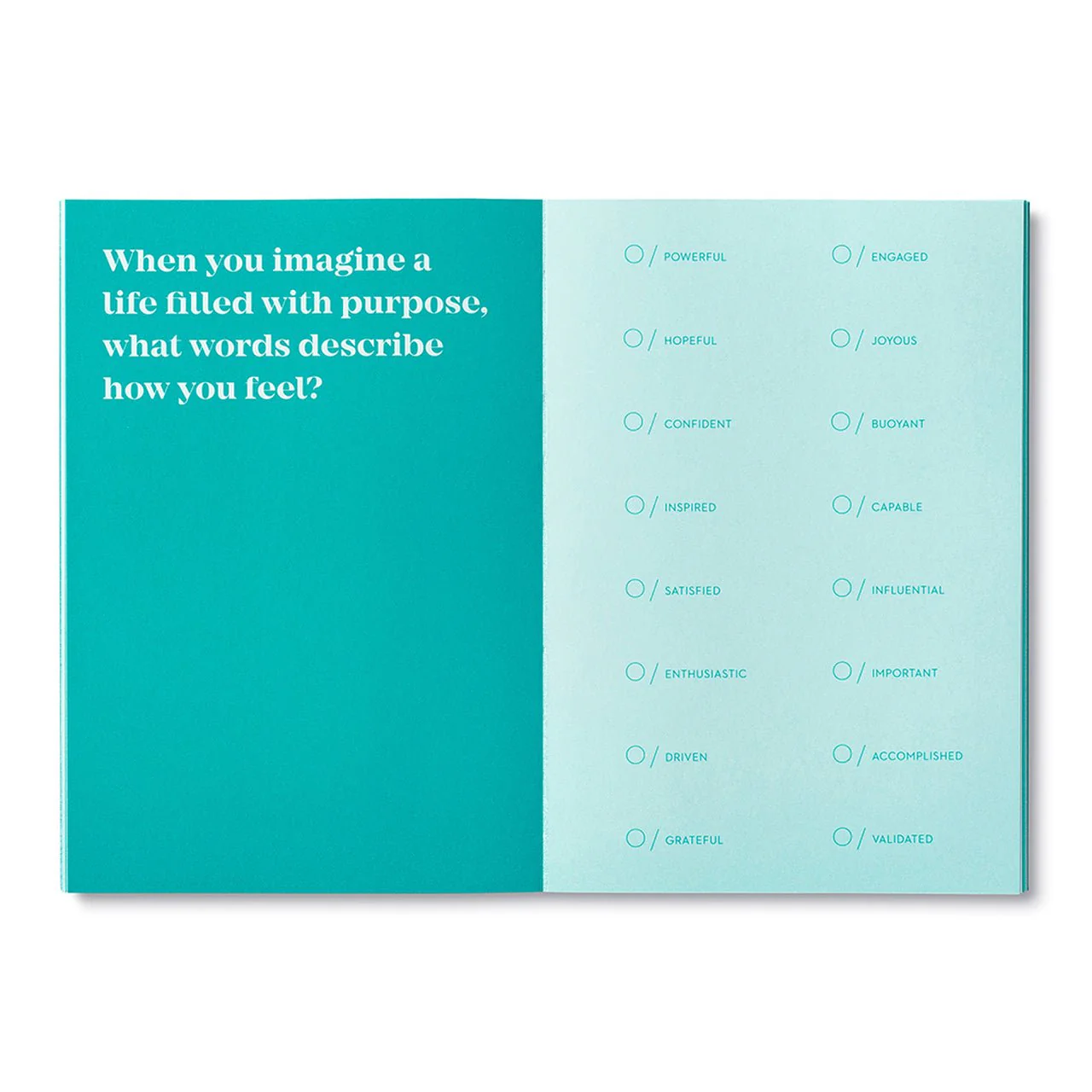 True Purpose Activity Book - Image 2