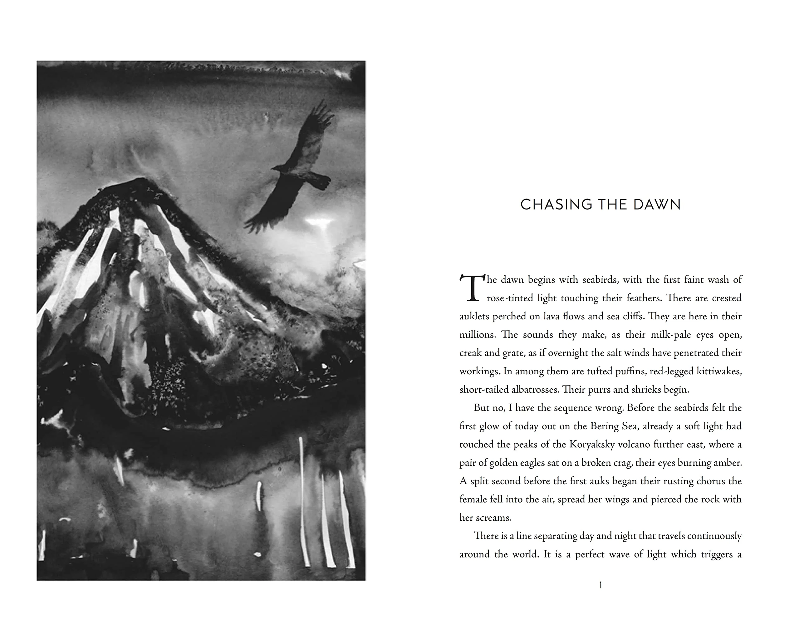 Two Lights: Walking Through Landscapes of Loss and Life - Image 2