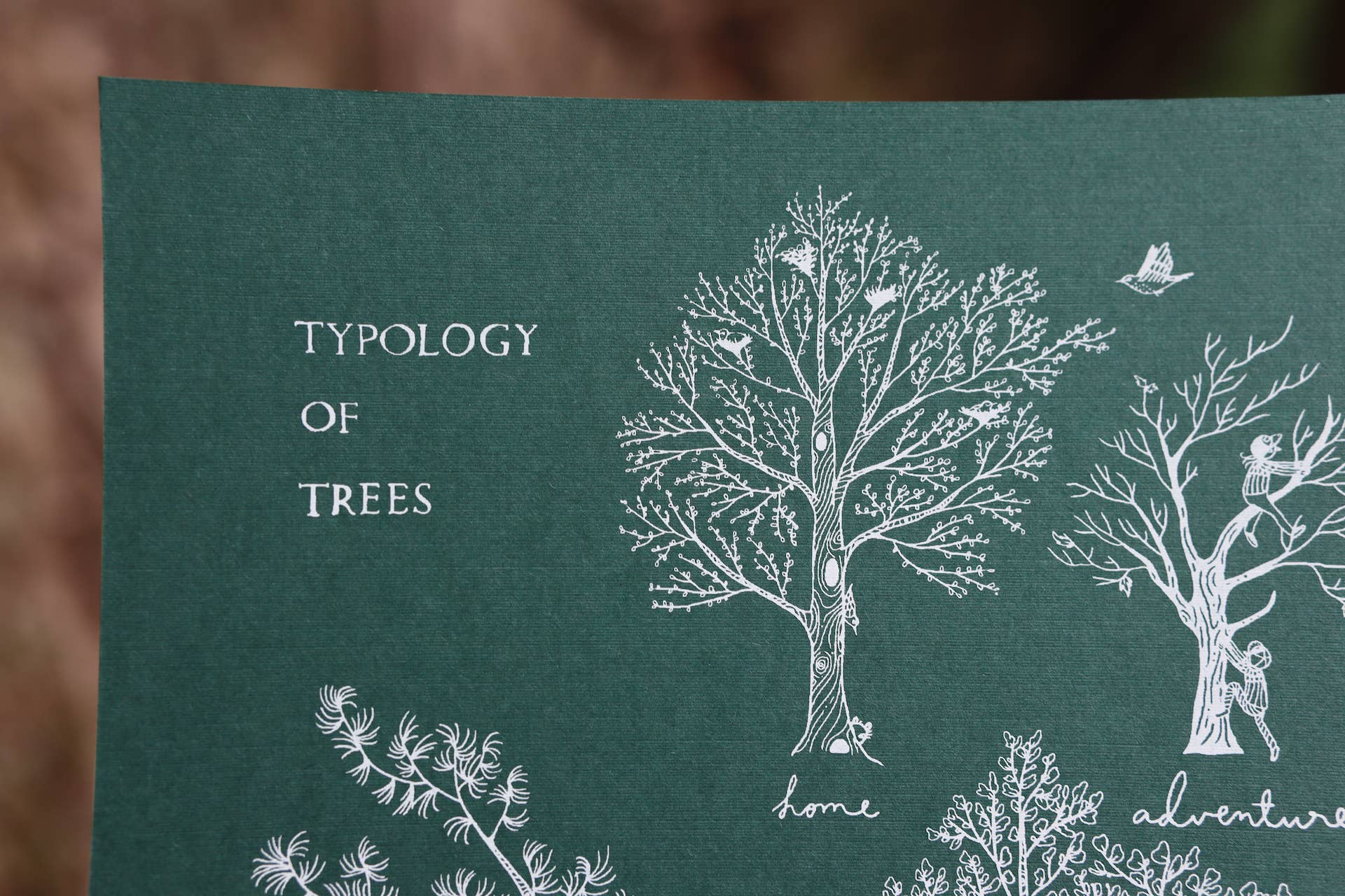 Typology of Trees Print - Image 2