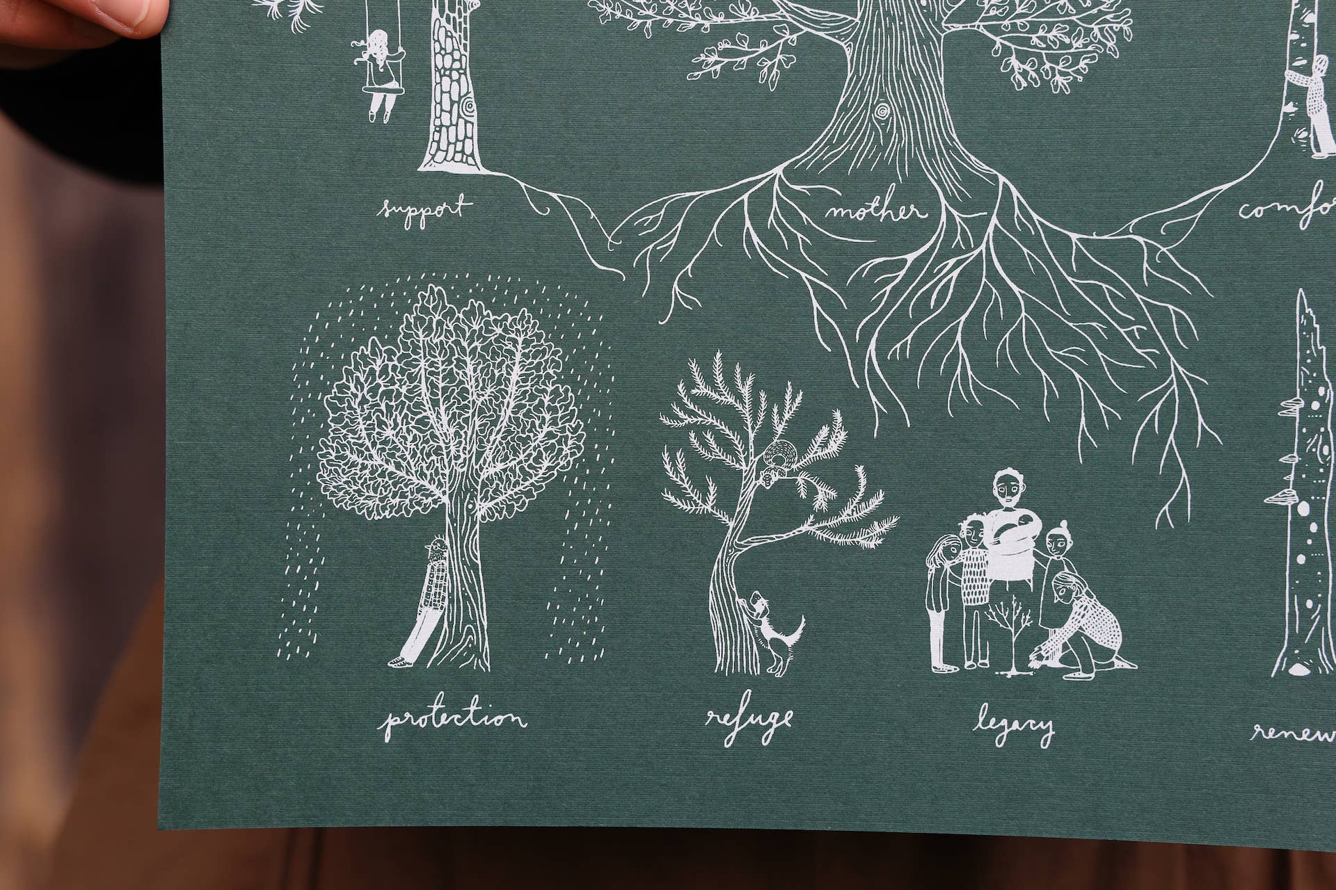 Typology of Trees Print - Image 3
