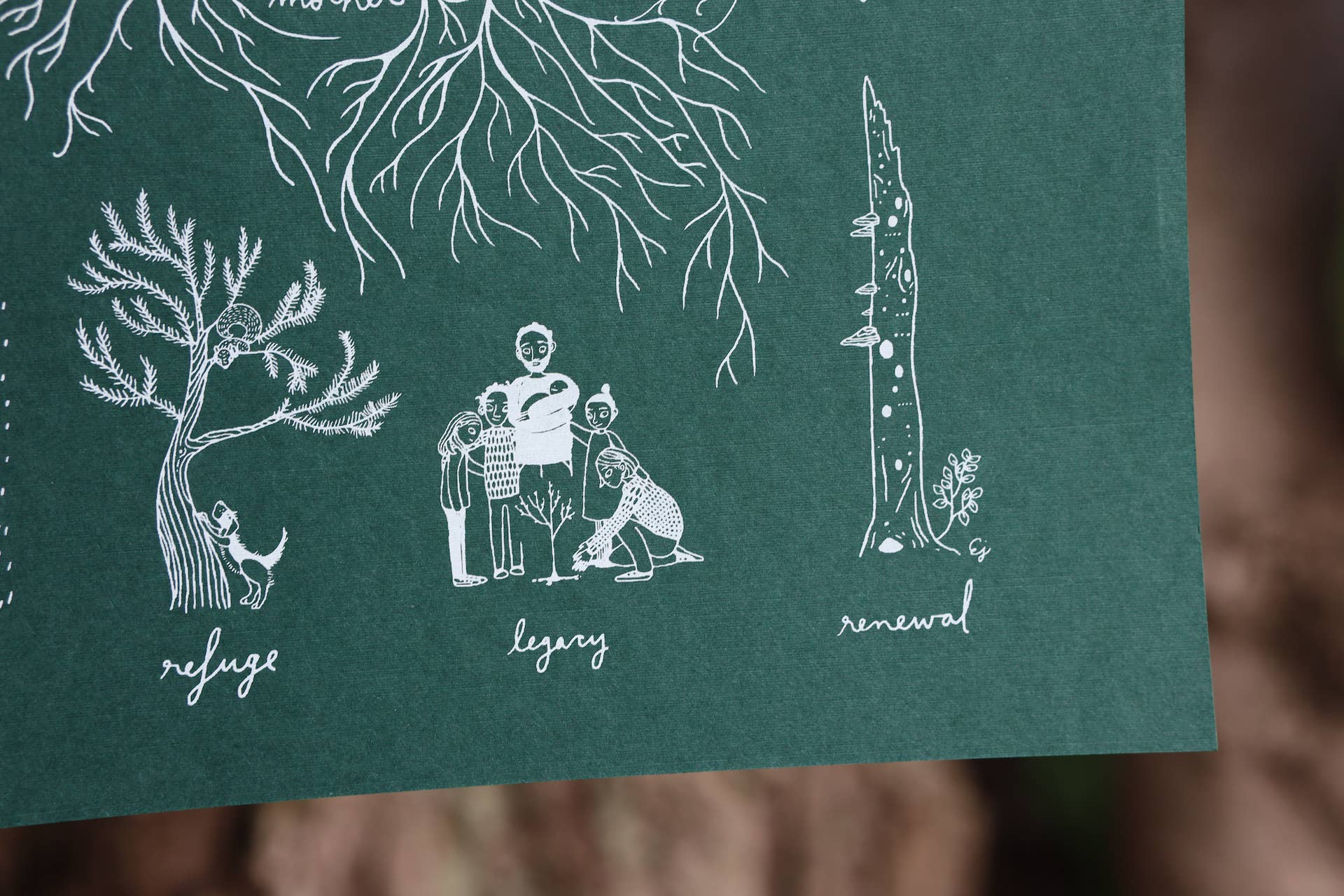 Typology of Trees Print - Image 4
