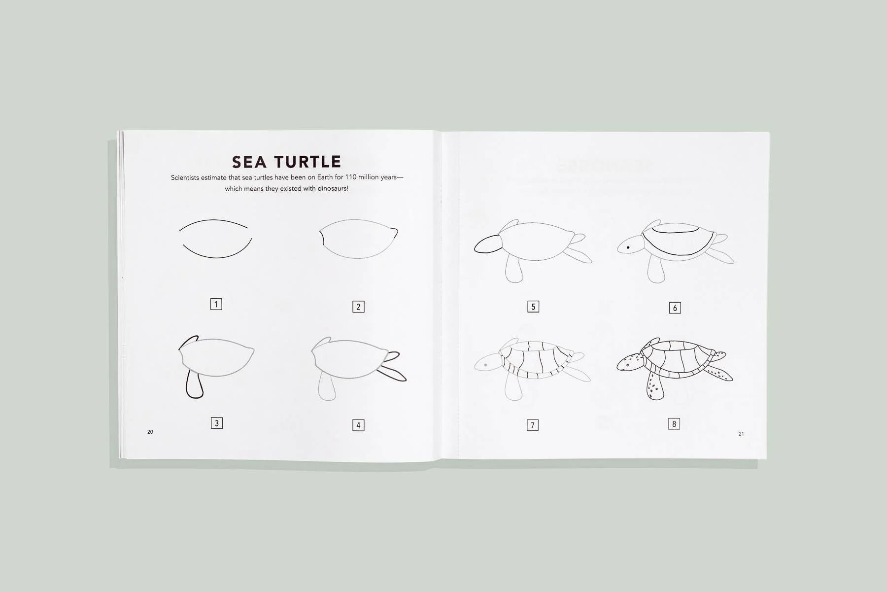How to Draw Under the Sea for Kids - Image 2