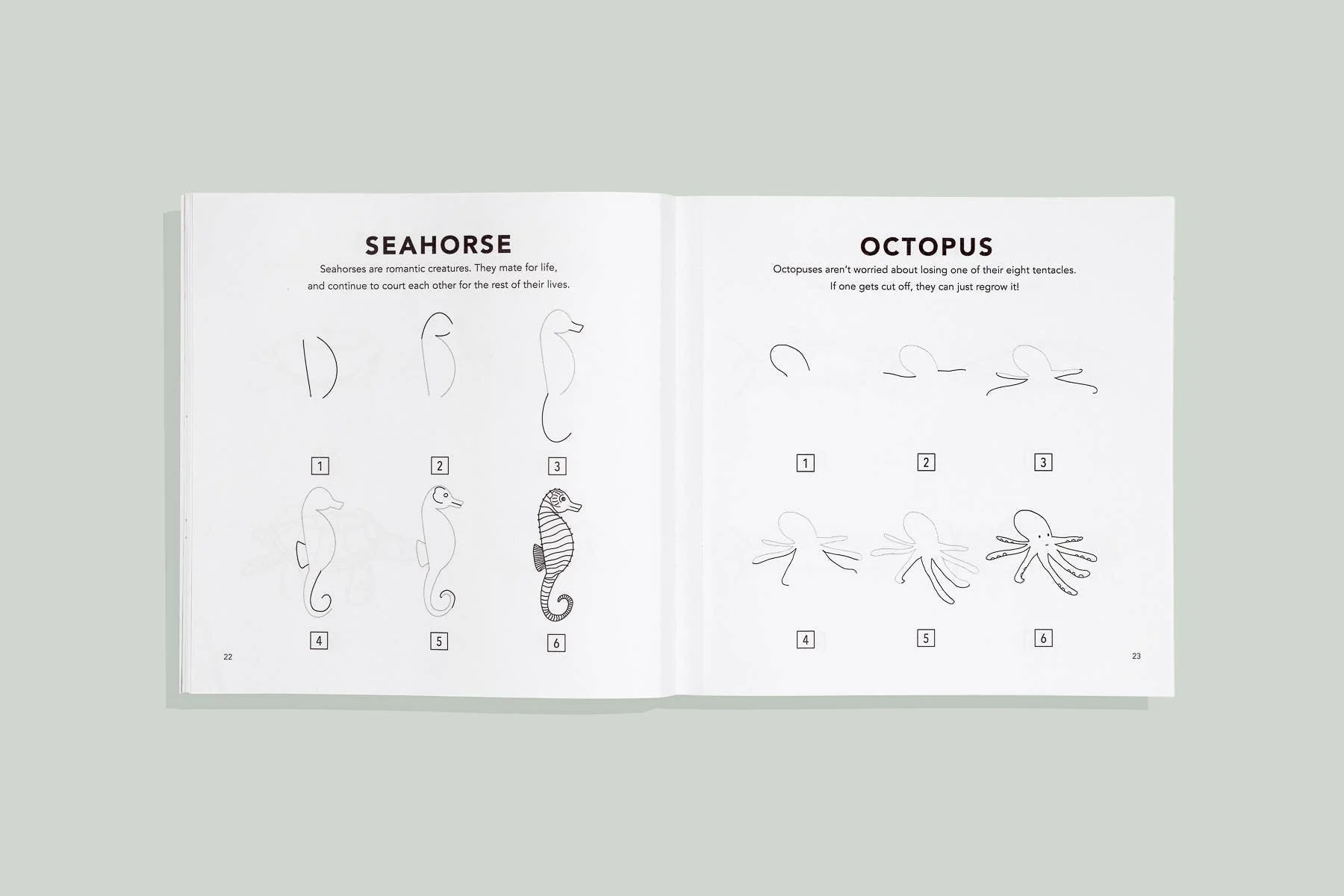 How to Draw Under the Sea for Kids - Image 3